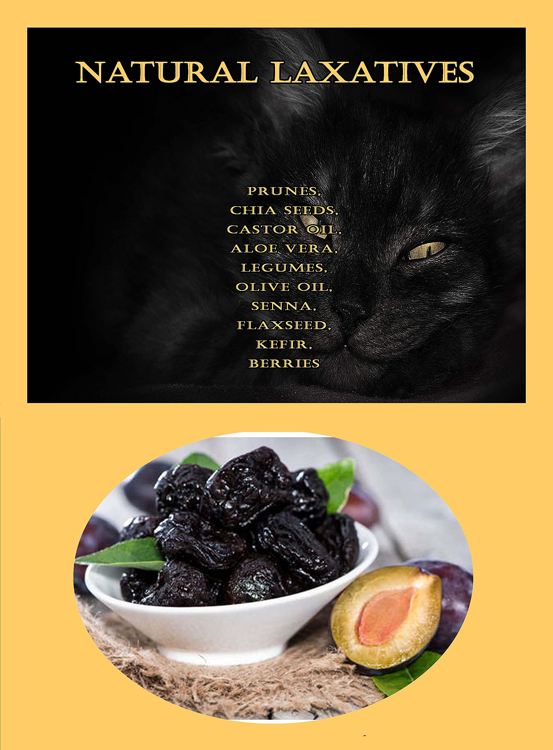 Natural Laxatives Prunes, Chia Seeds, Castor Oil, Aloe Vera, Legumes