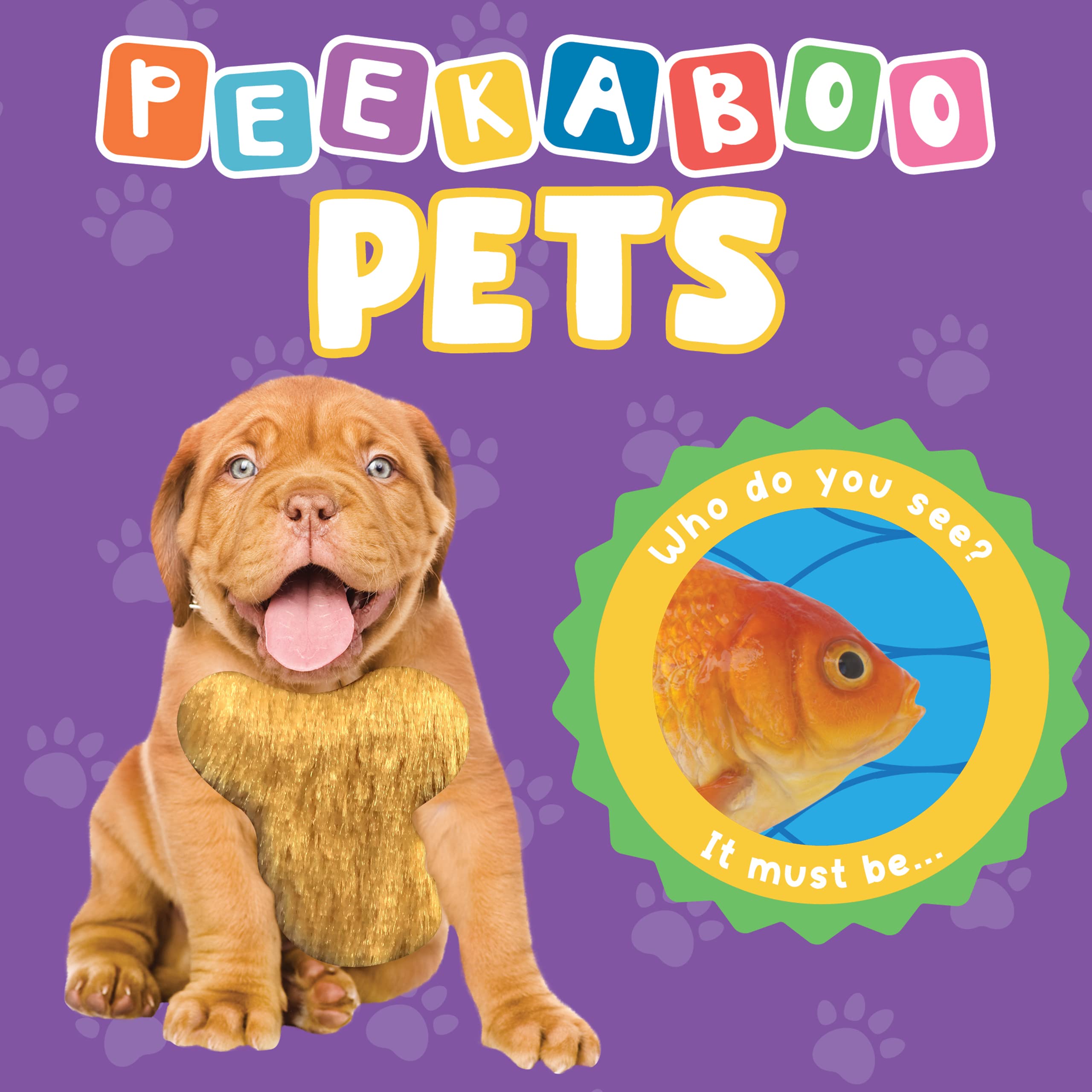 Peekaboo Pets Children's Touch and Feel Board Book by Little Hippo