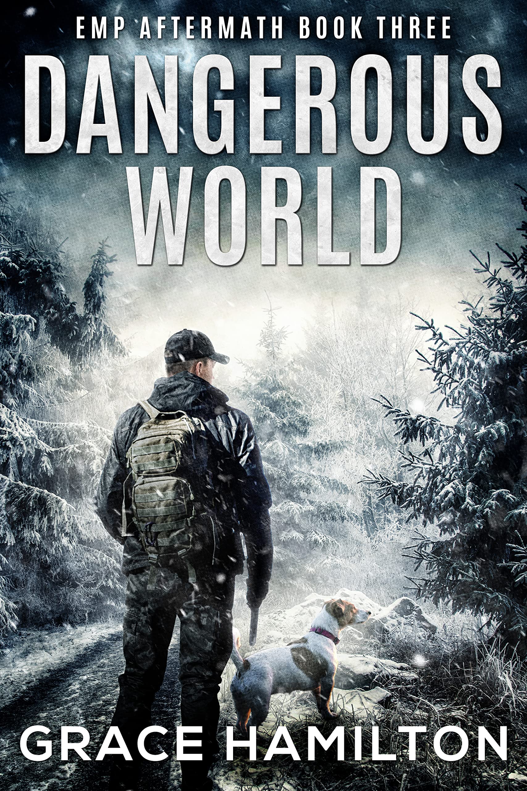 Dangerous World: A Post-Apocalyptic EMP Saga Filled With Fascinating Characters & Prepper Info