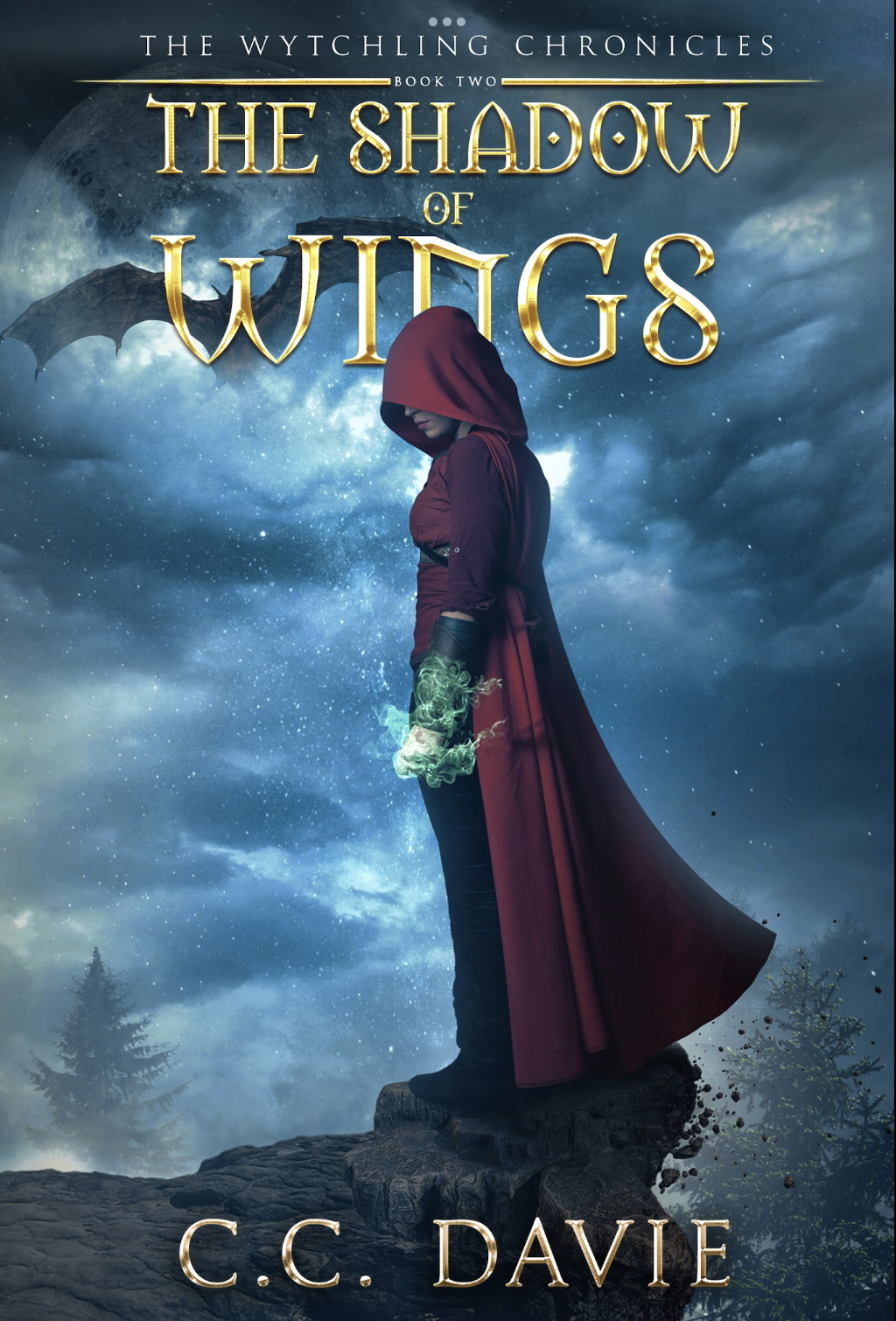The Shadow of Wings