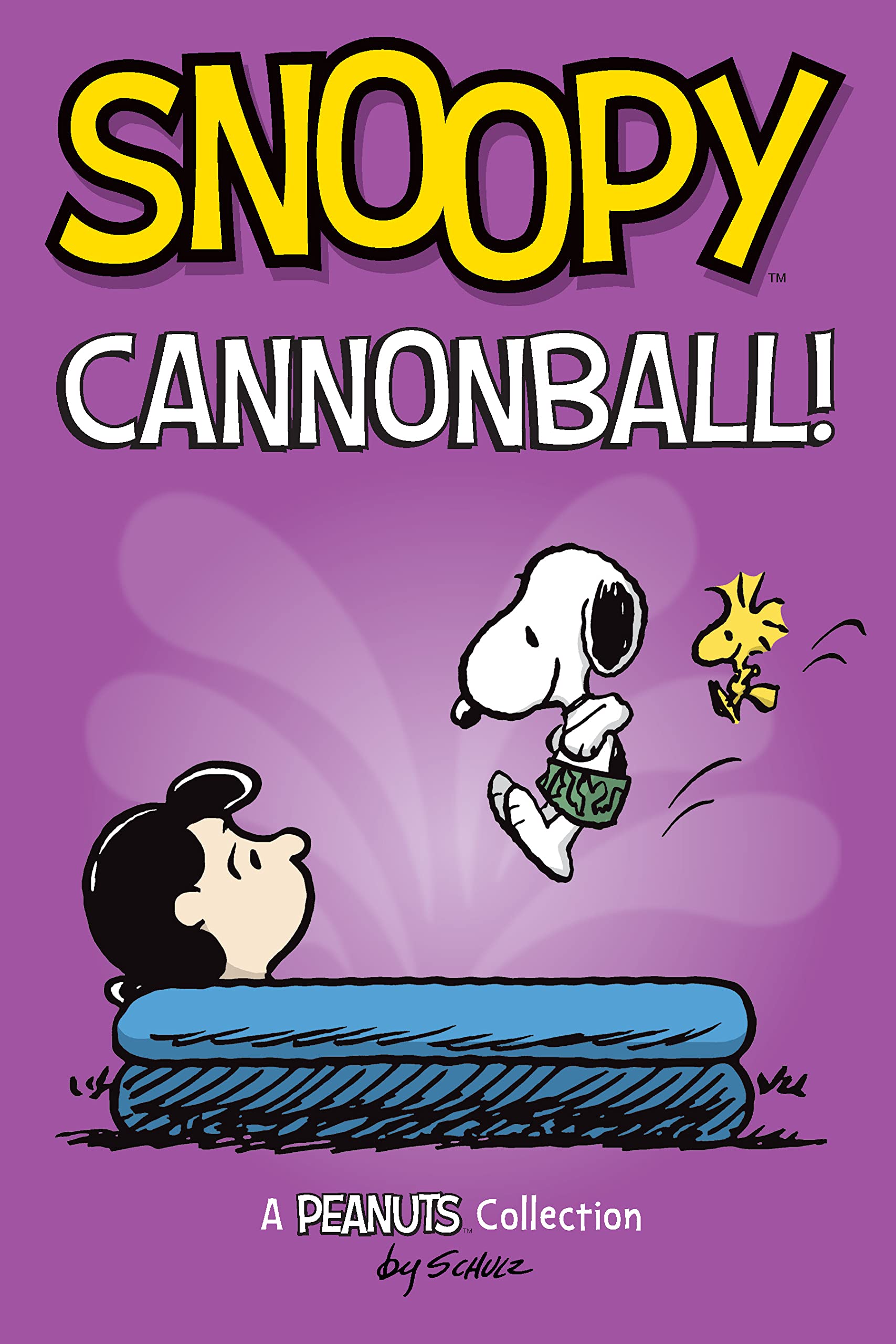 Snoopy book cover