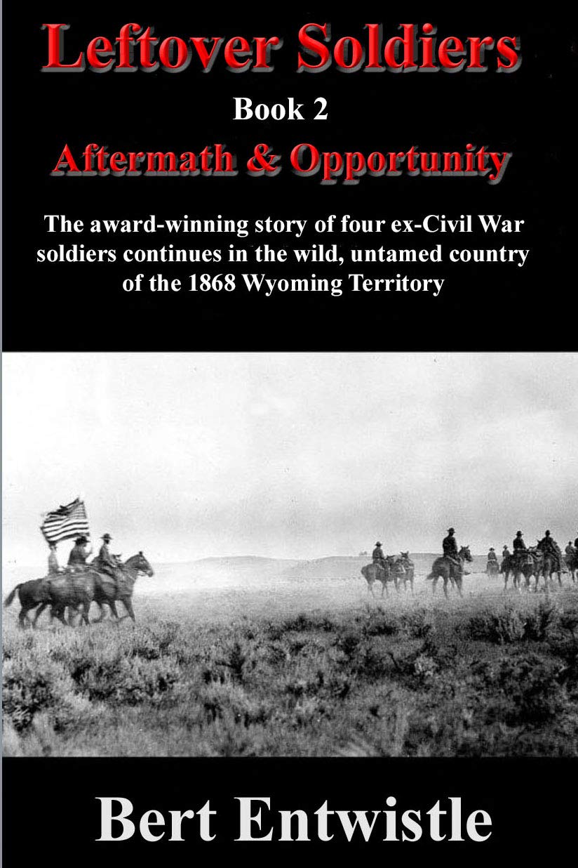 Leftover Soldiers Book 2: Aftermath & Opportunity by Bert Entwistle ...