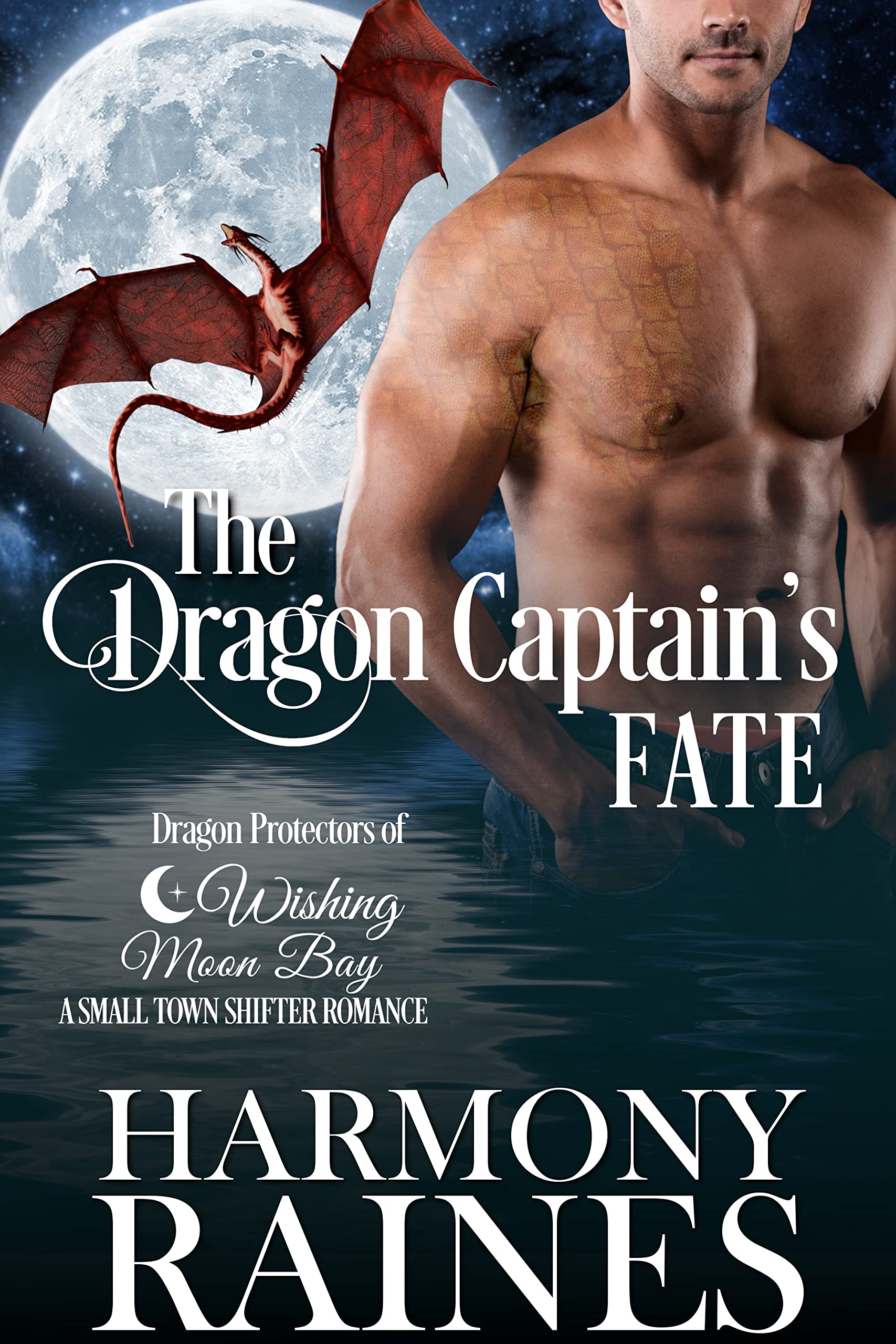 The Dragon Captain's Fate book cover