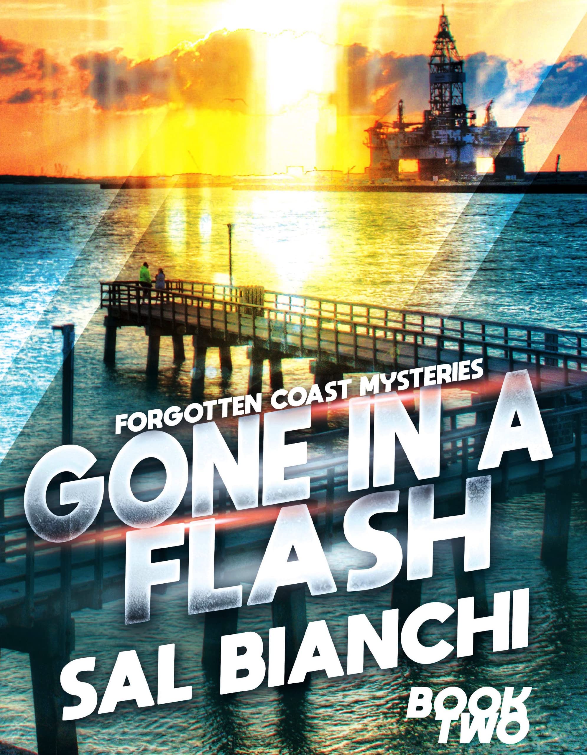 Gone In A Flash: A Forgotten Coast Mystery