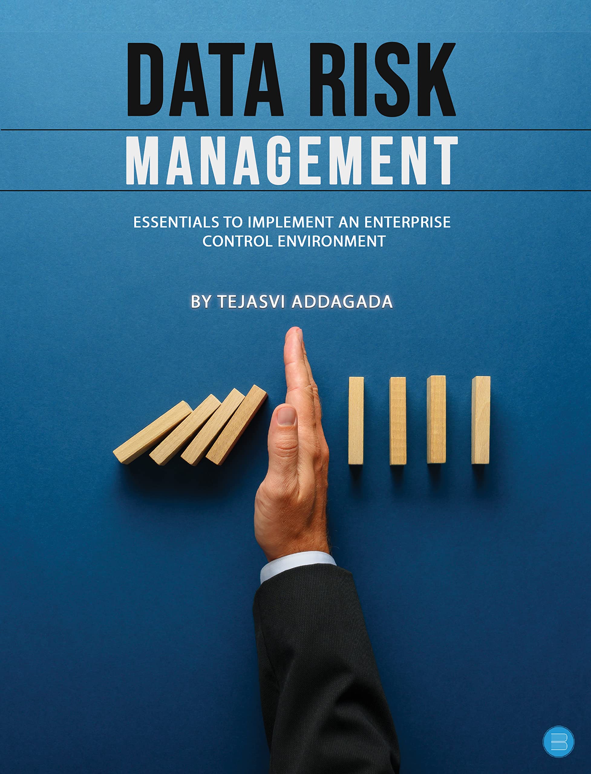 Data Risk Management: Essentials to implement an Enterprise Control ...