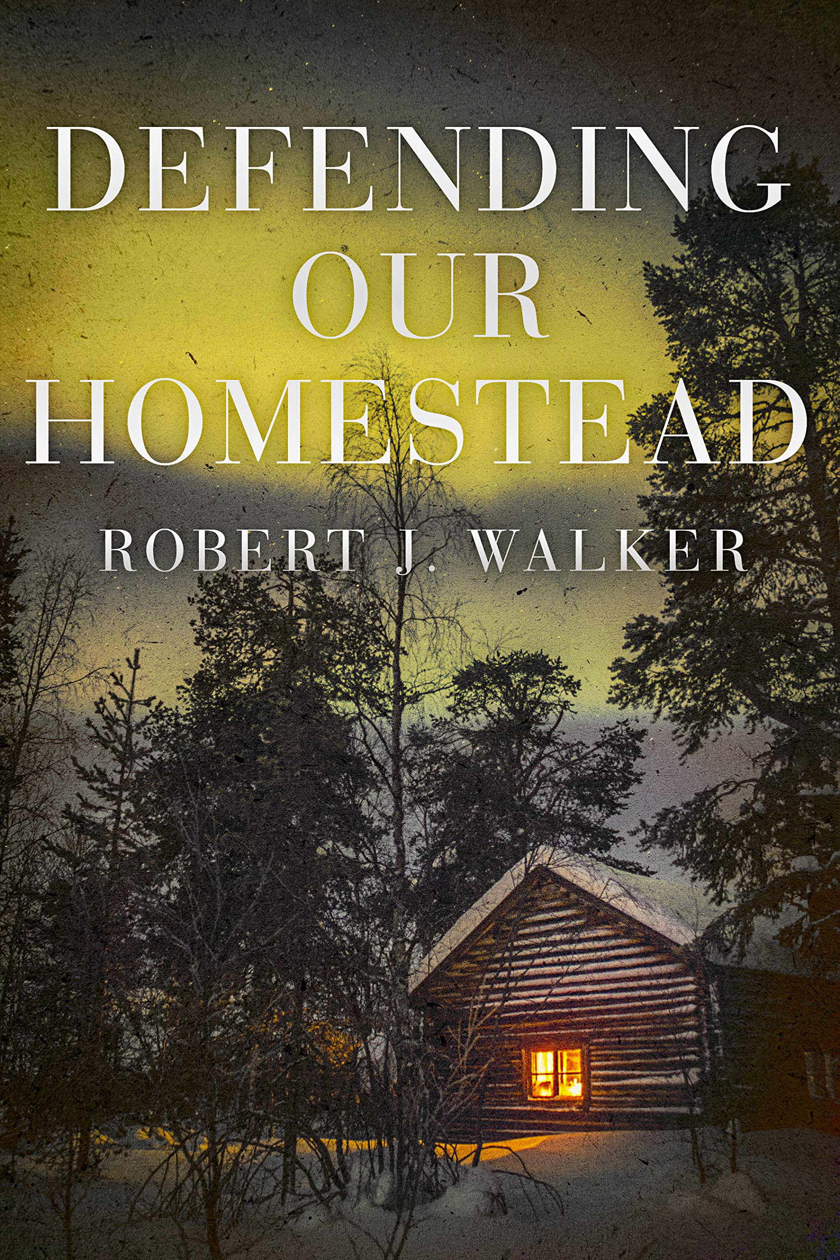 Defending our Homestead book cover