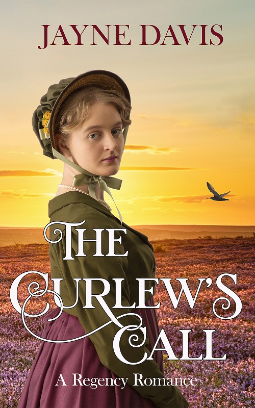The Curlew's Call