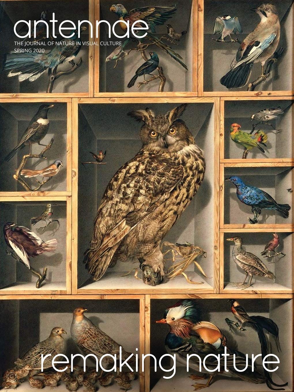 Antennae 50 Remaking Nature by Giovanni Aloi Goodreads