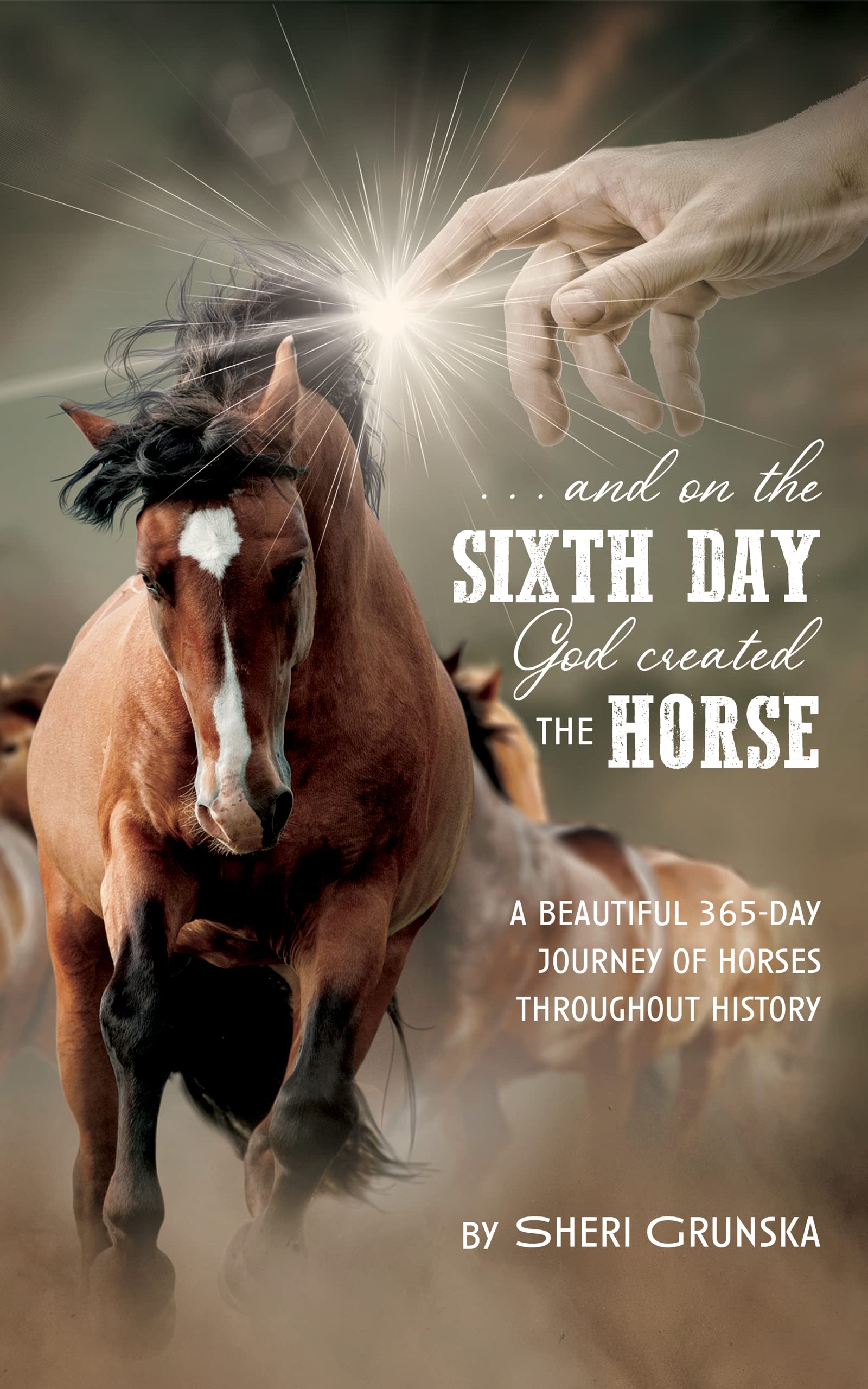 ...And On the Sixth Day God Created the Horse: A Beautiful 365-Day Journey Of Horses Throughout History