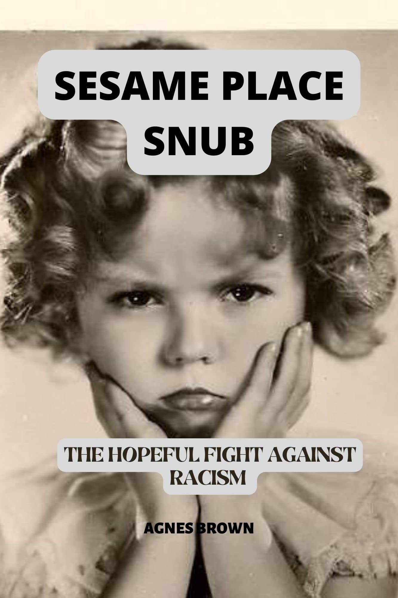 Sesame Place Snub The Hopeful Fight Against Racism by Agnès Brown