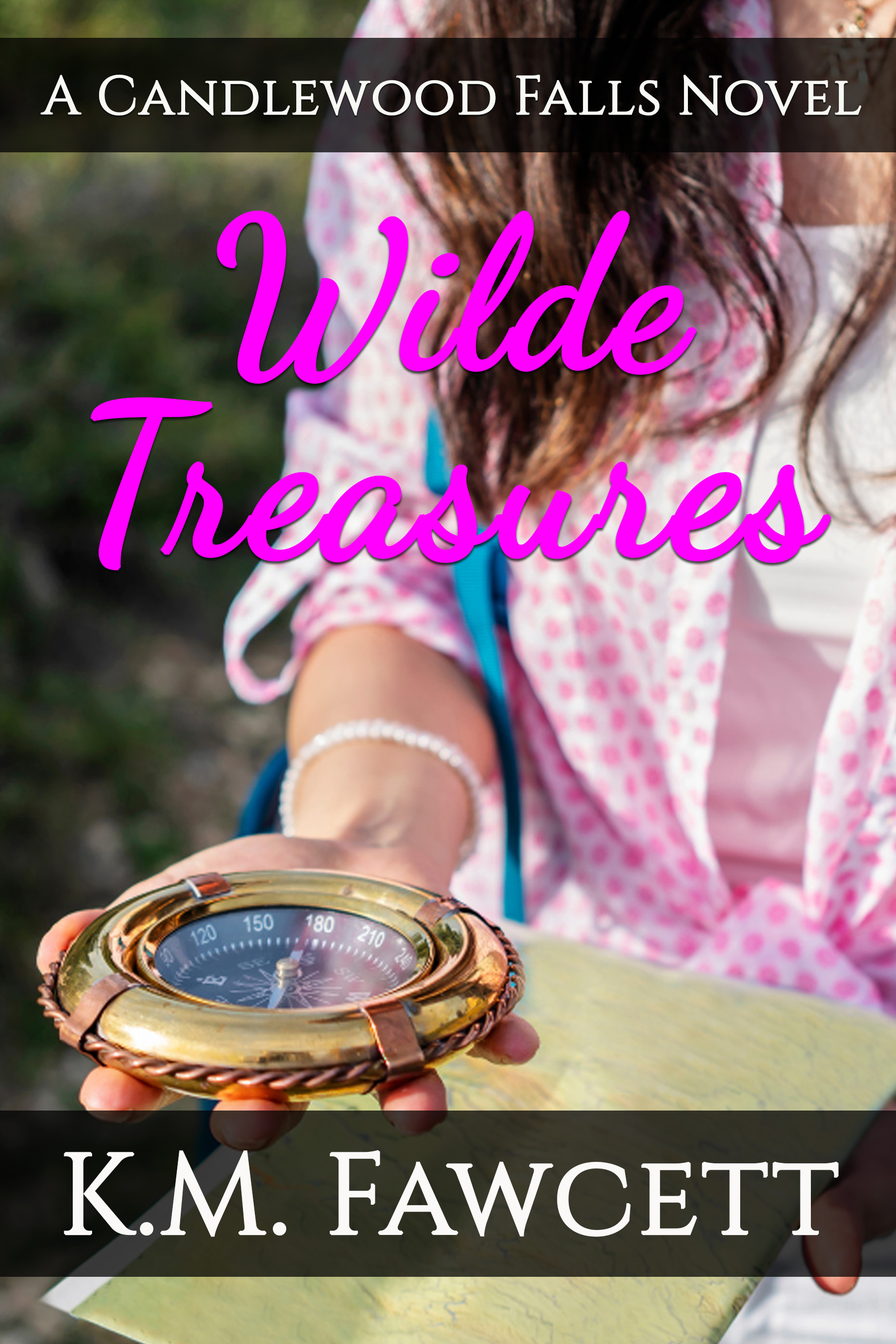 Candlewood Falls: Wilde Family book cover 2