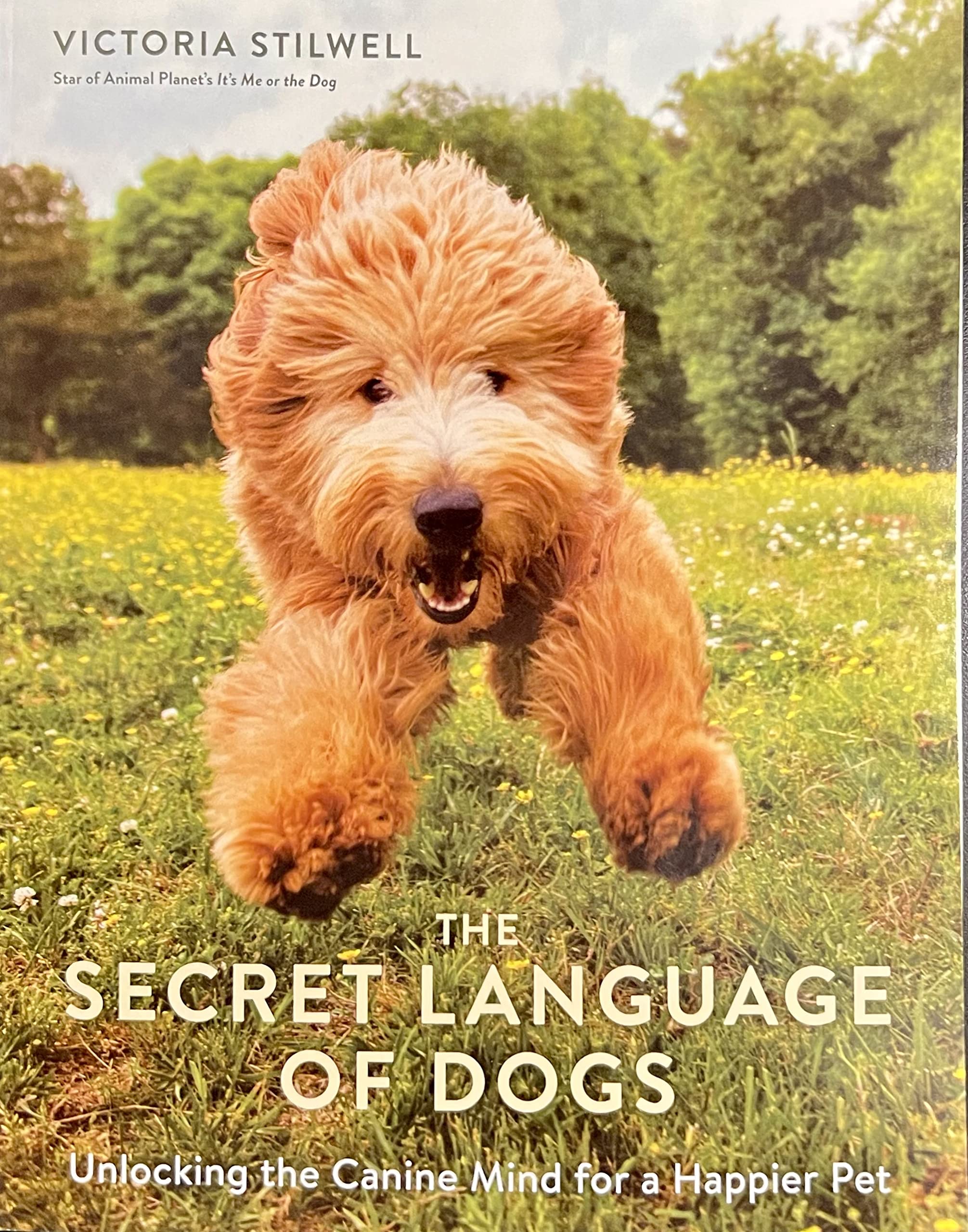 The Secret Language of Dogs by Victoria Stilwell Goodreads
