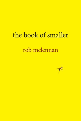 the book of smaller