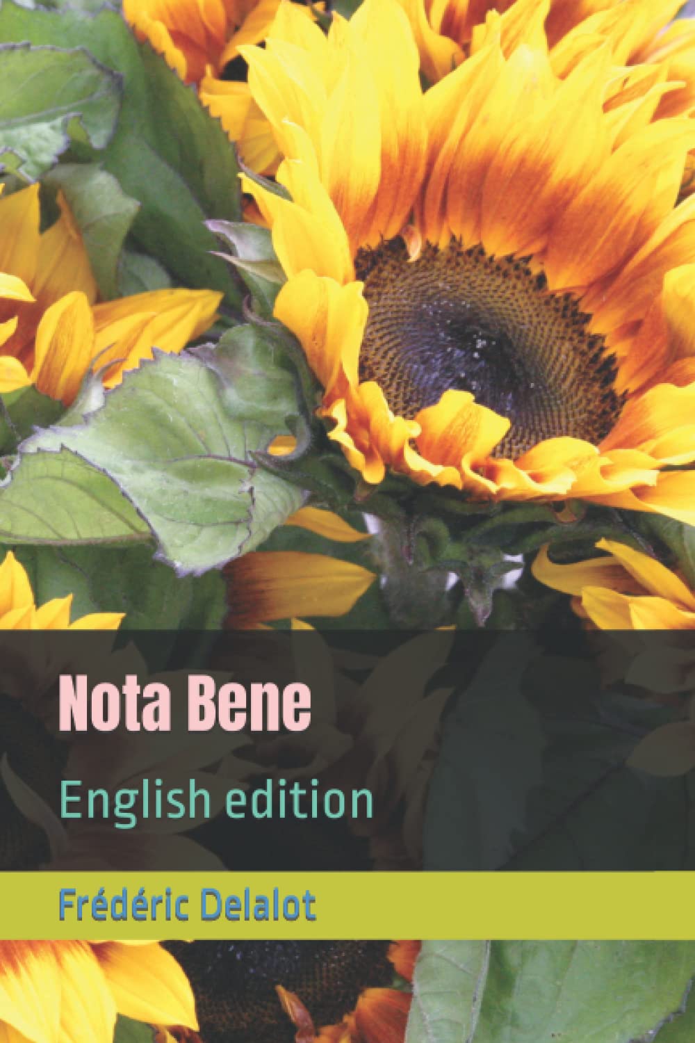 Nota Bene English edition by Frederic Delalot Goodreads
