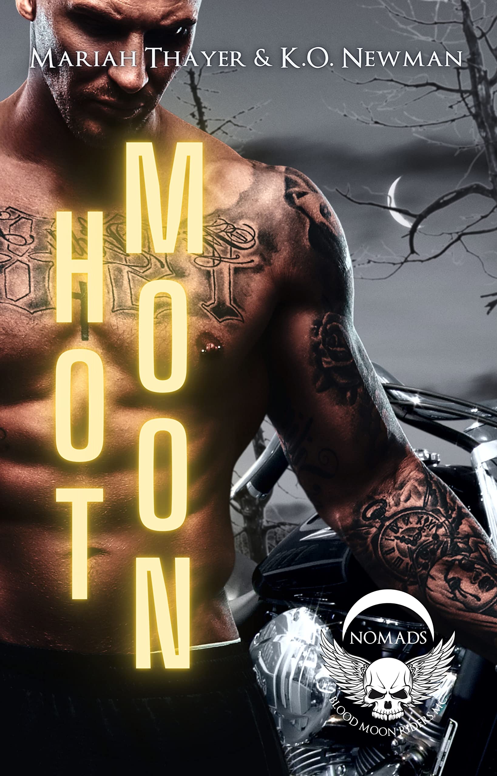 Hot Moon book cover