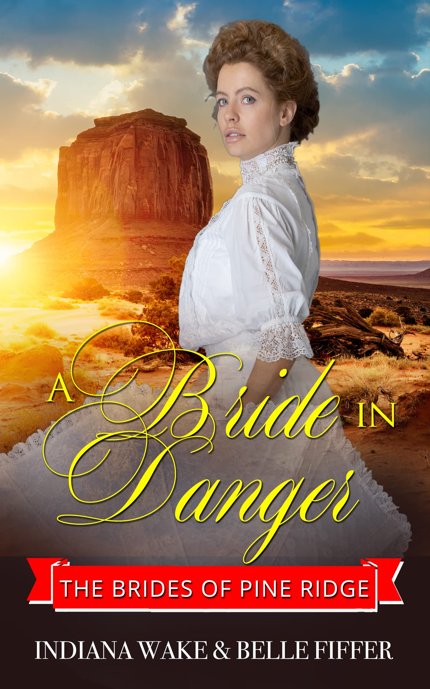 The Brides of Pine Ridge book cover 2