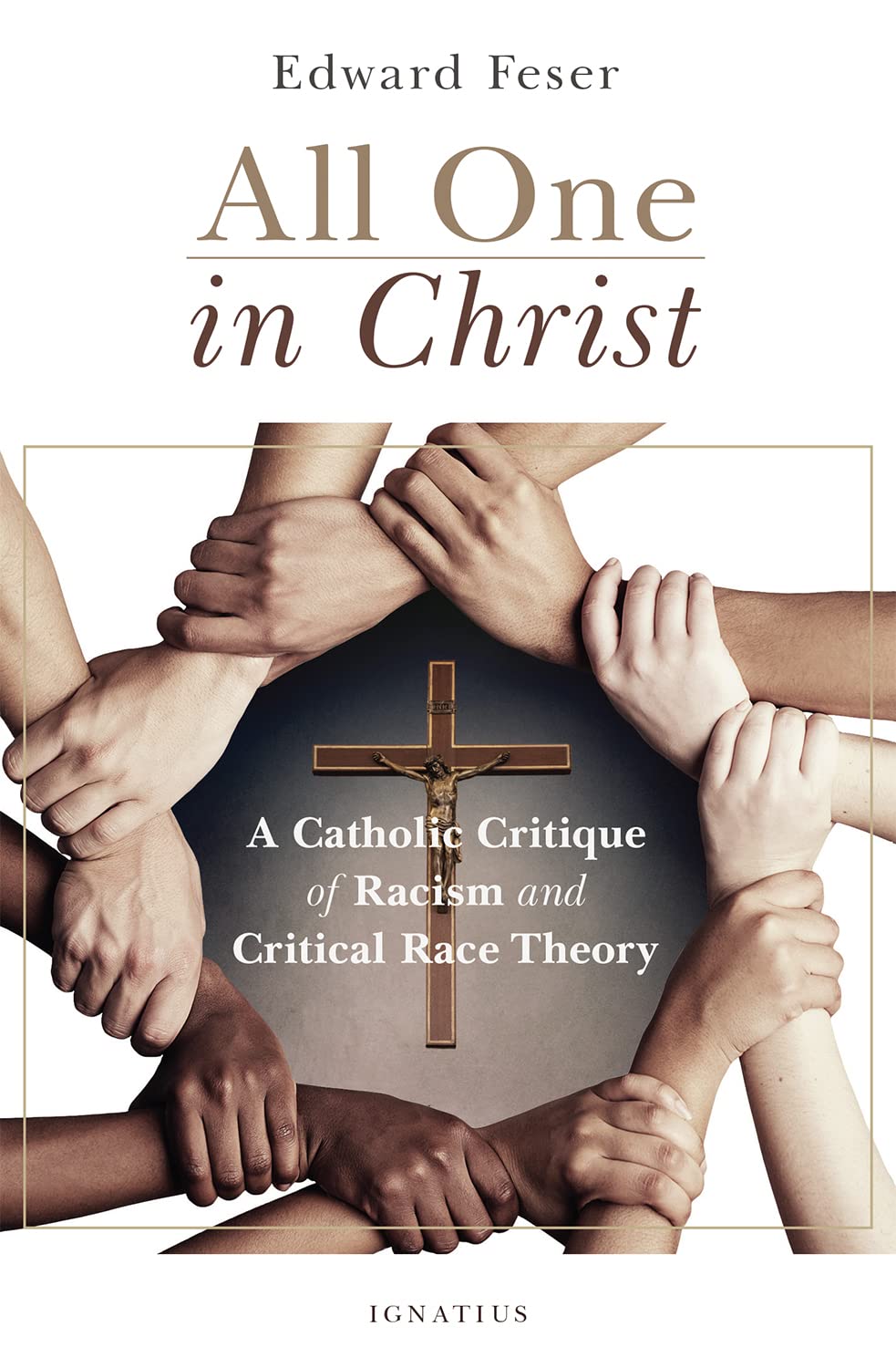 All One in Christ book cover