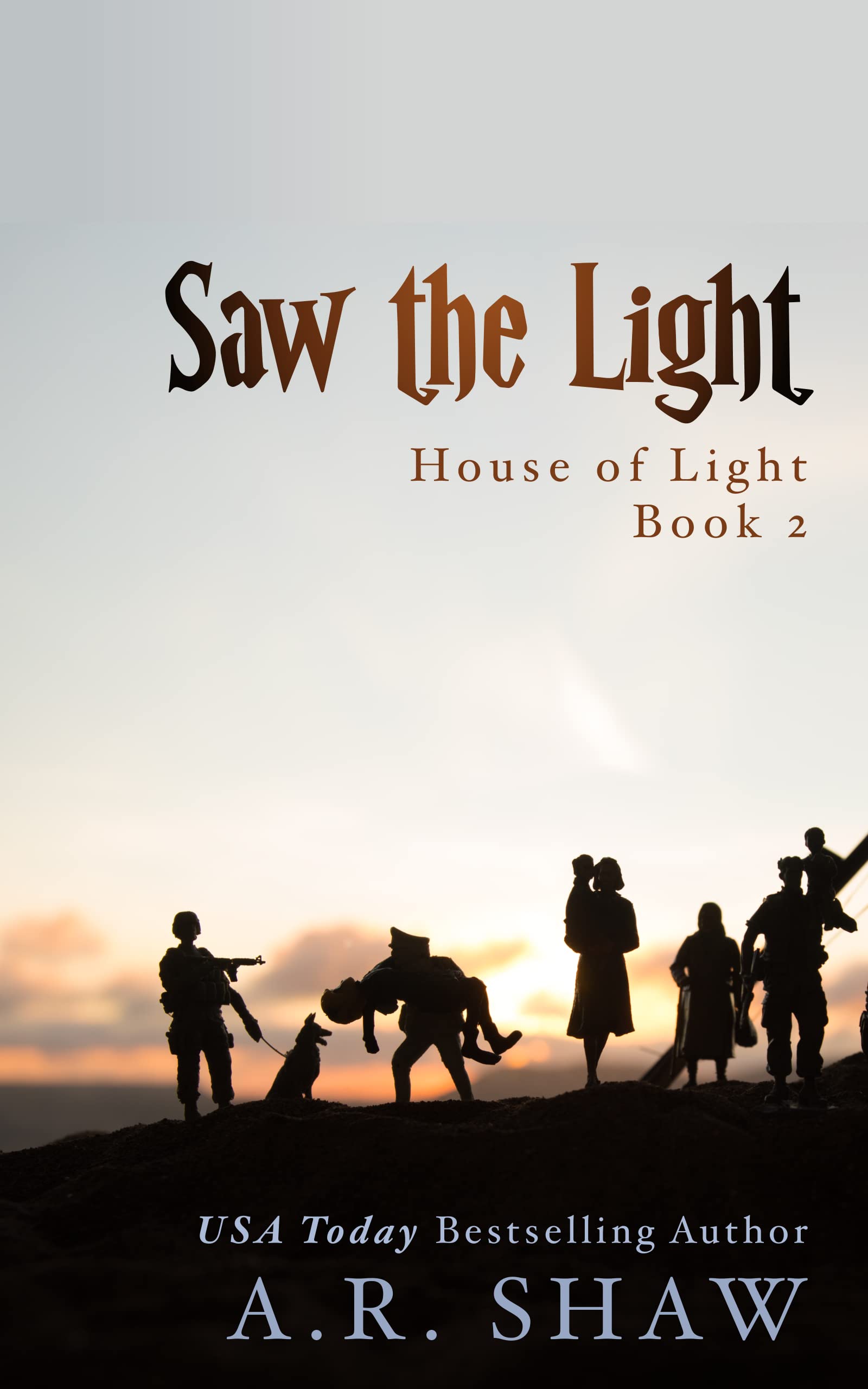 Saw the Light book cover