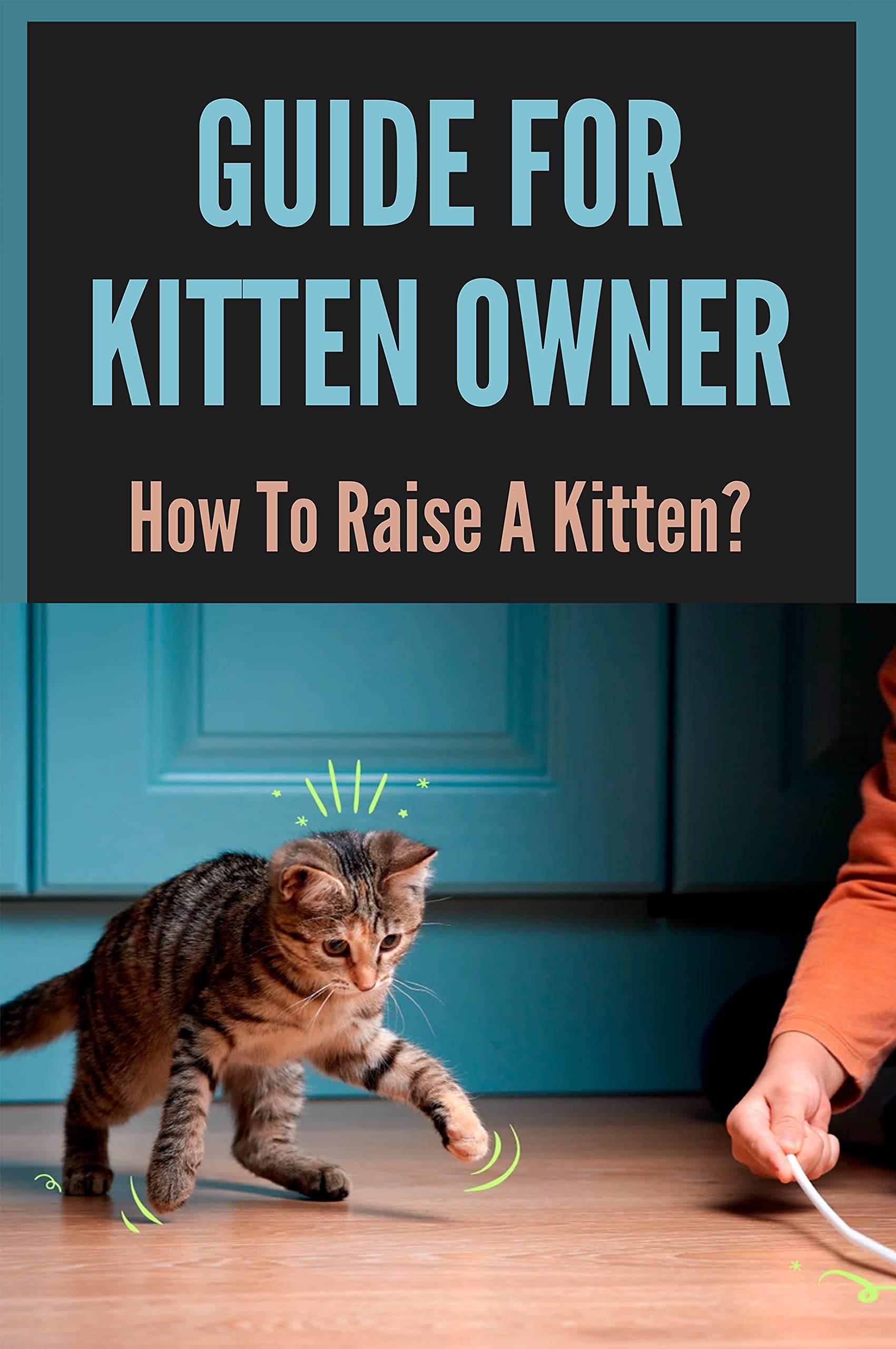 Guide For Kitten Owner How To Raise A Kitten? Understanding Kitten Behavior by Amanda Etter
