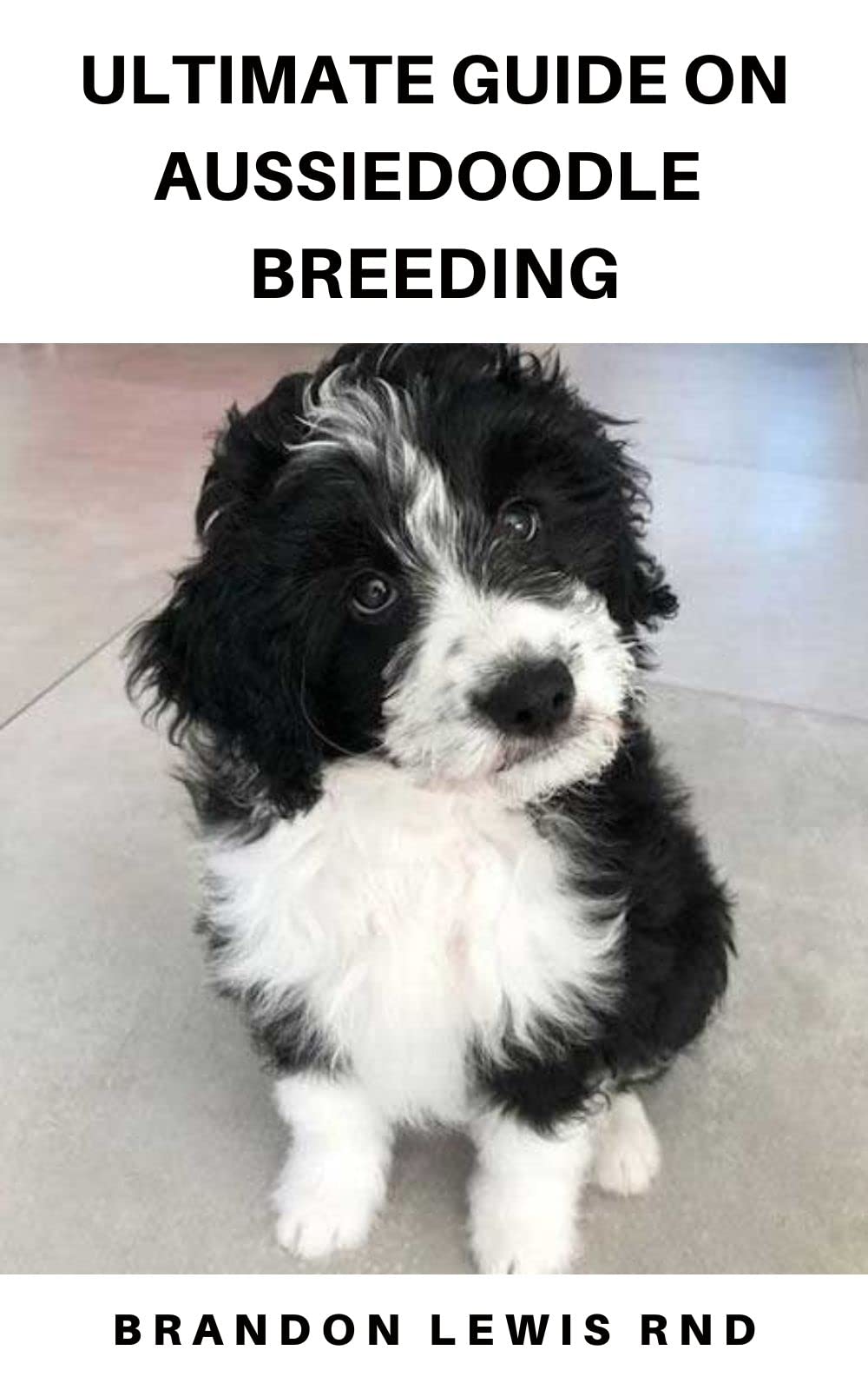 ULTIMATE GUIDE ON AUSSIEDOODLE BREEDING What To Know About Grooming