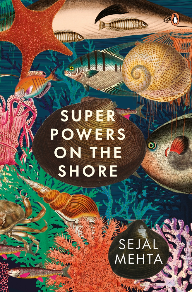 Super Powers on the Shore