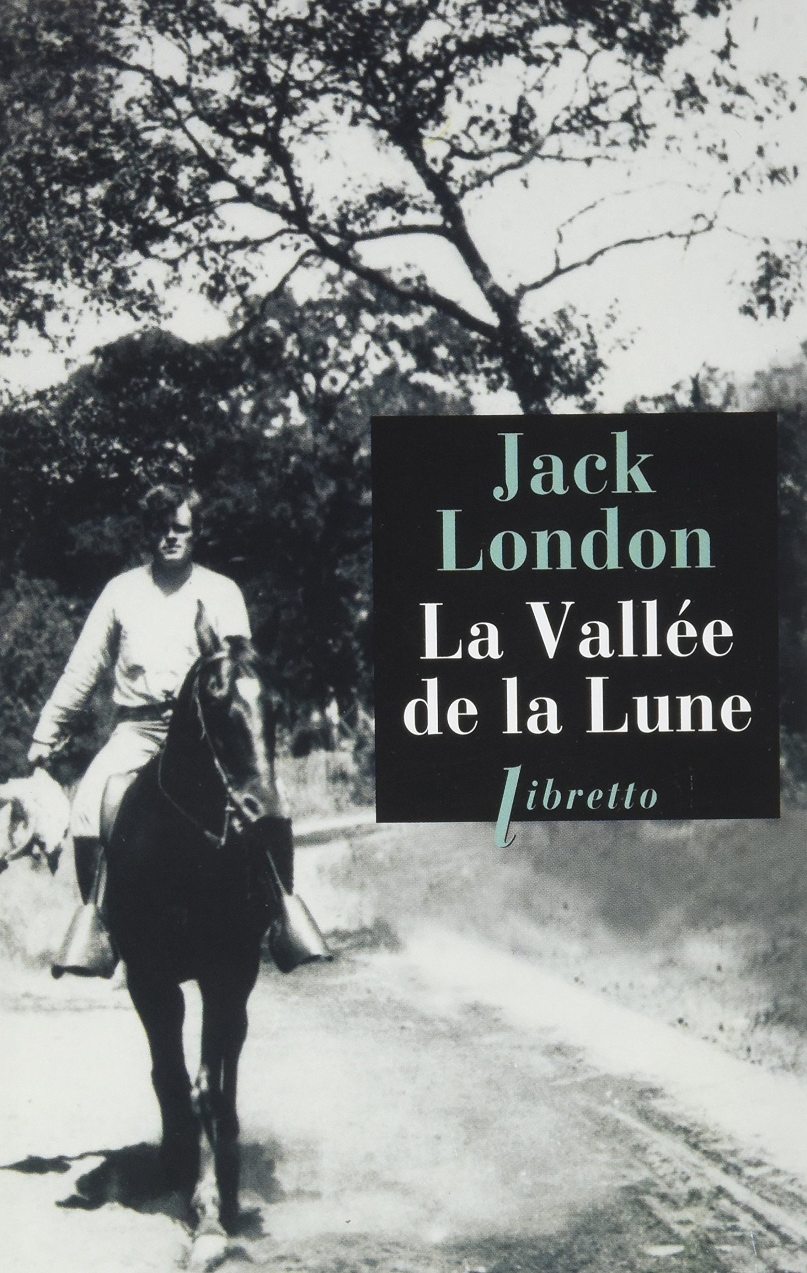 La vallée de la lune book cover