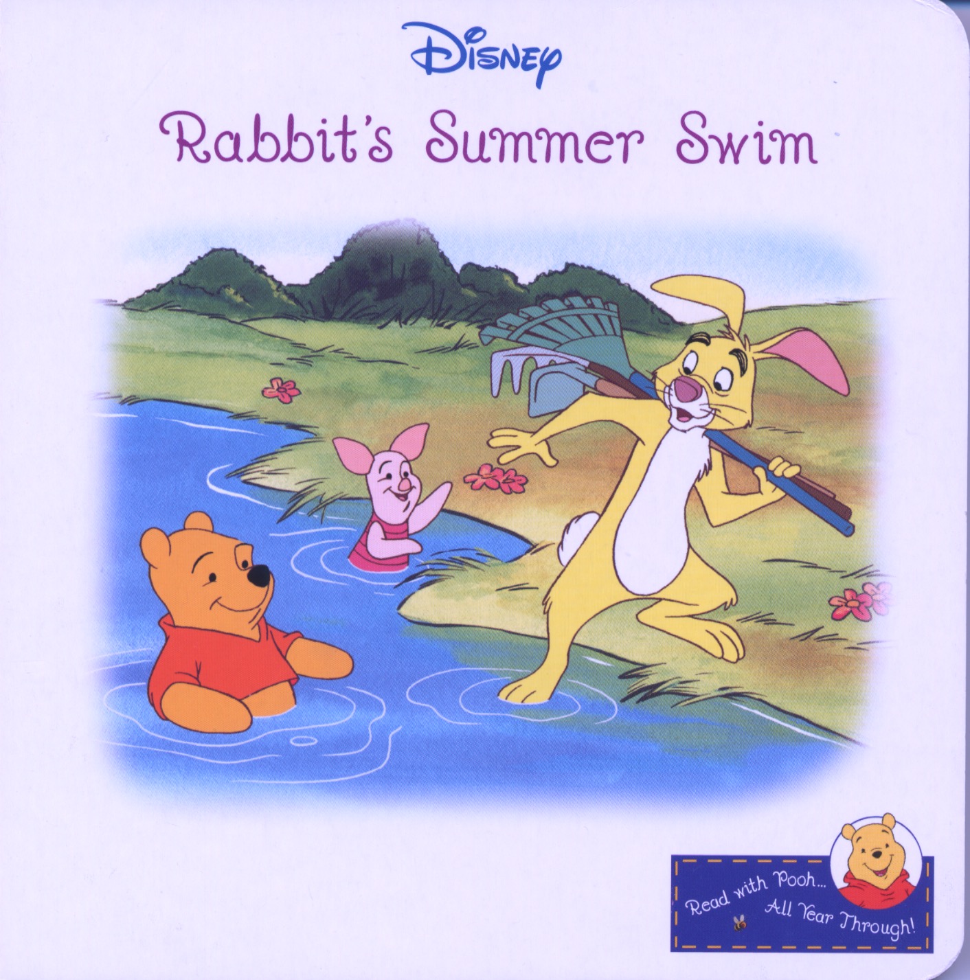 Rabbit's Summer Swim book cover