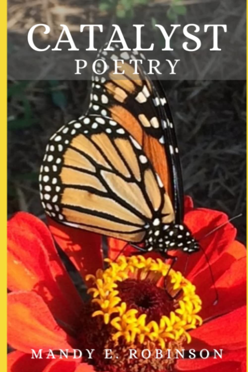 Catalyst Poetry by Mandy E. Robinson Goodreads