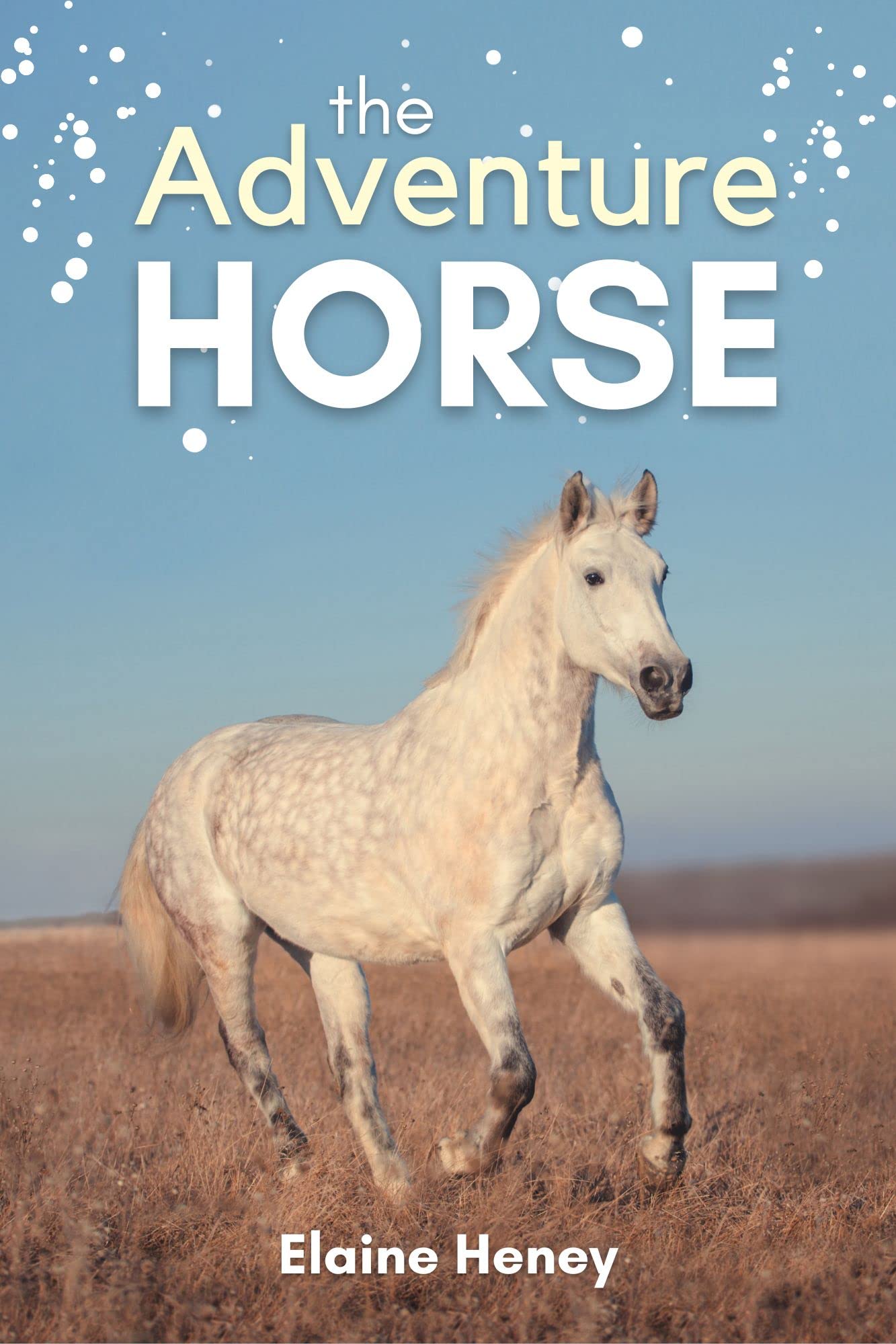 The Adventure Horse - Book 5 in the Connemara Horse Adventure Series for Kids | The Perfect Gift for Children age 8-12