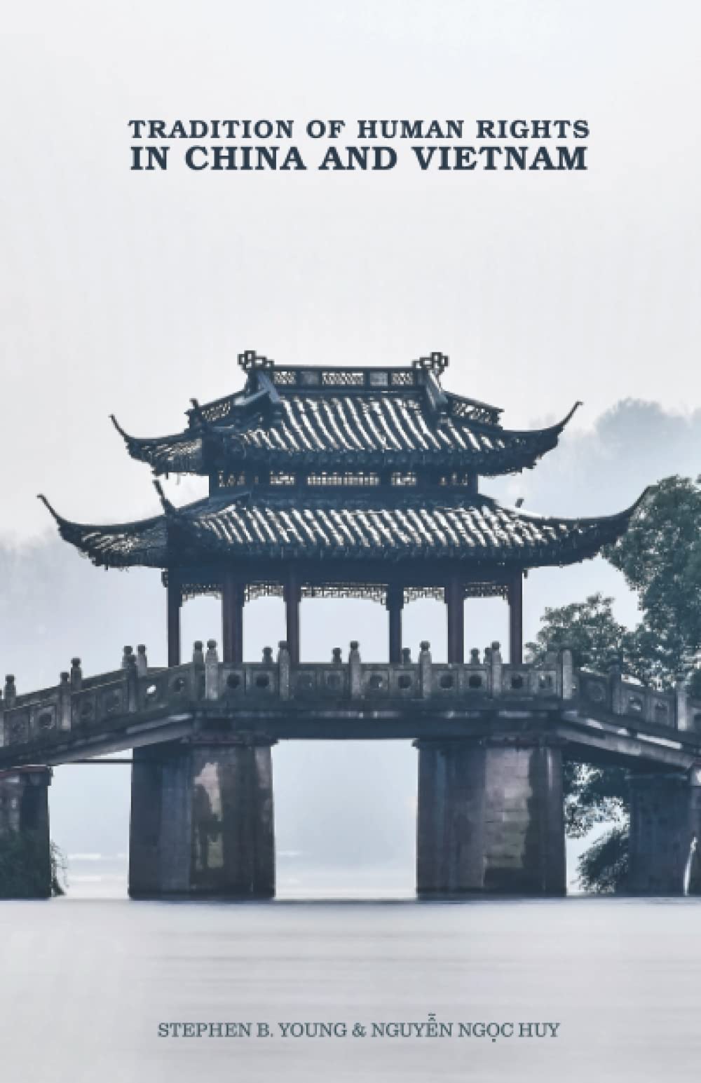 The Tradition of Human Rights in China and Vietnam book cover