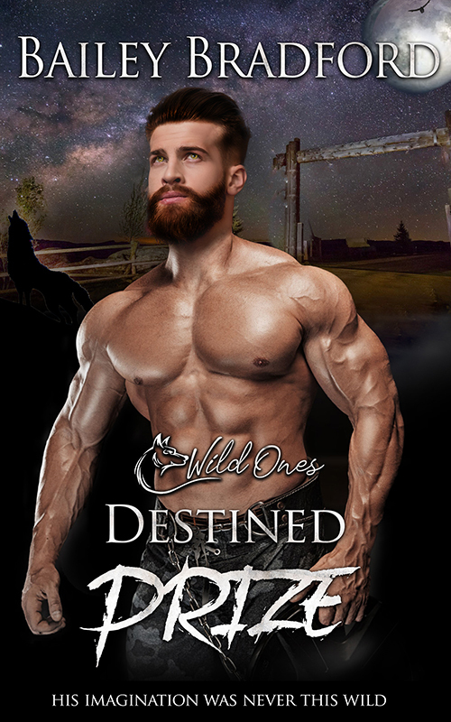 Destined Prize book cover