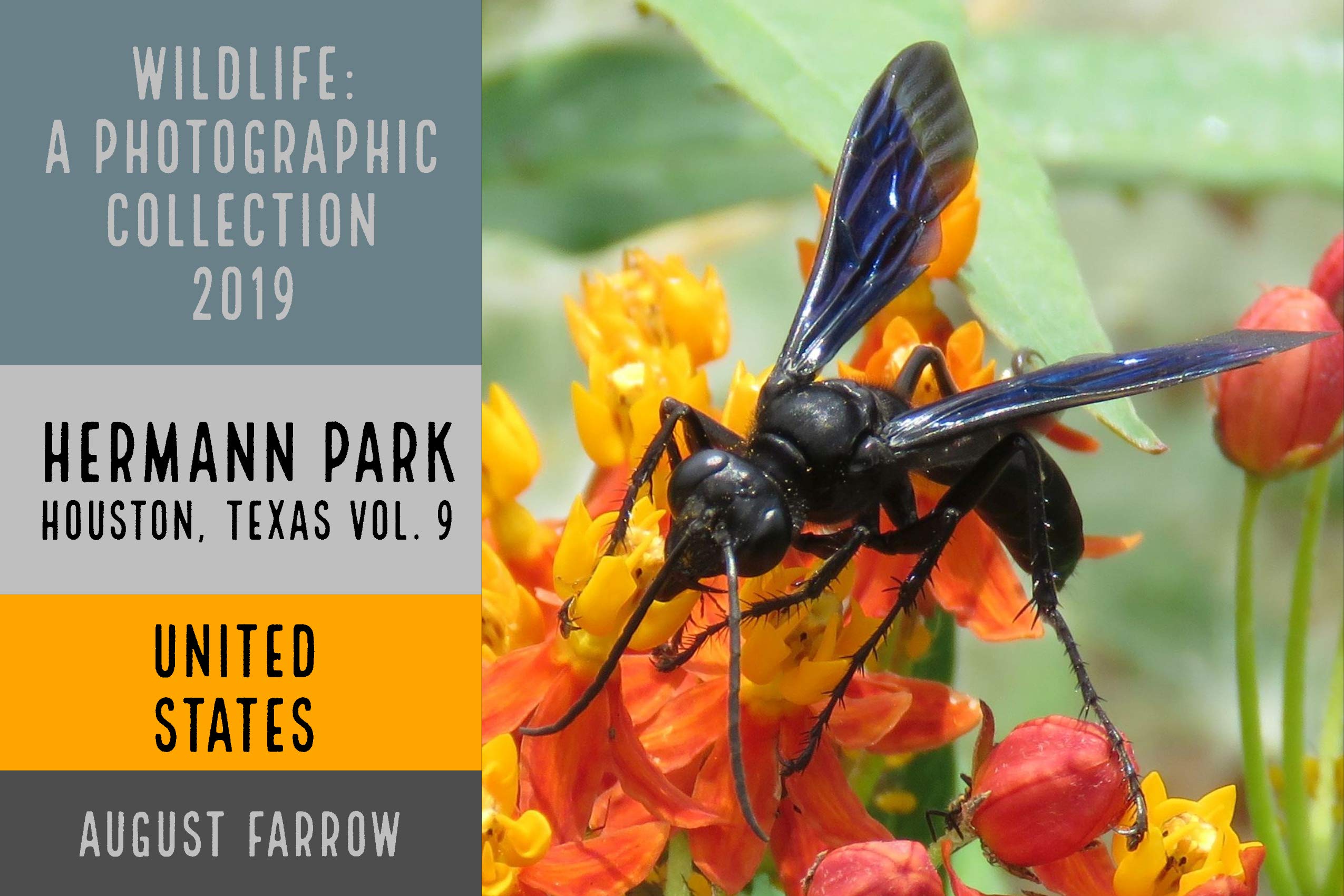 Wildlife 7 Days In Hermann Park 2019 A Photographic Collection Vol wildlife-7-days-in-hermann-park-2019-a-photographic-collection-vol