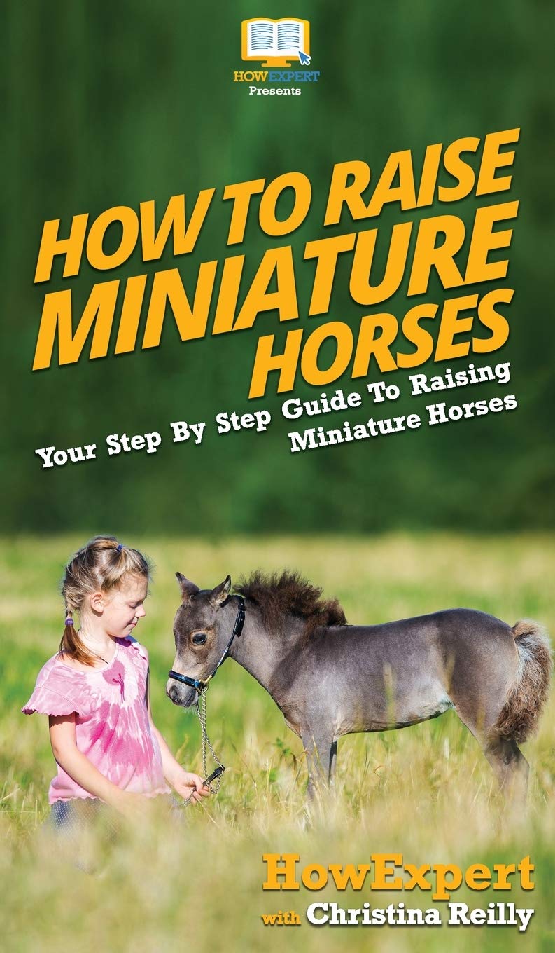 How To Raise Miniature Horses Your Step By Step Guide To Raising