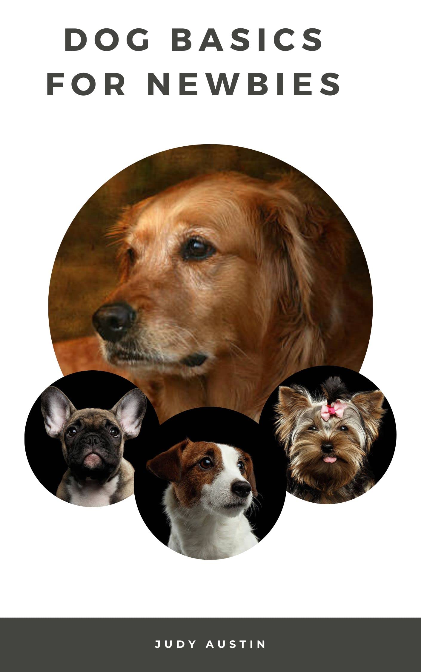 DOG BASICS FOR NEWBIES Understanding your dogs mood, needs and diet is