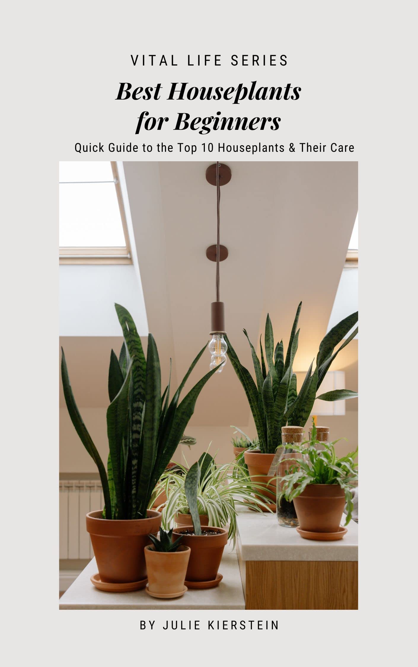 Best Houseplants for Beginners Quick Guide to Top 10 Houseplants and
