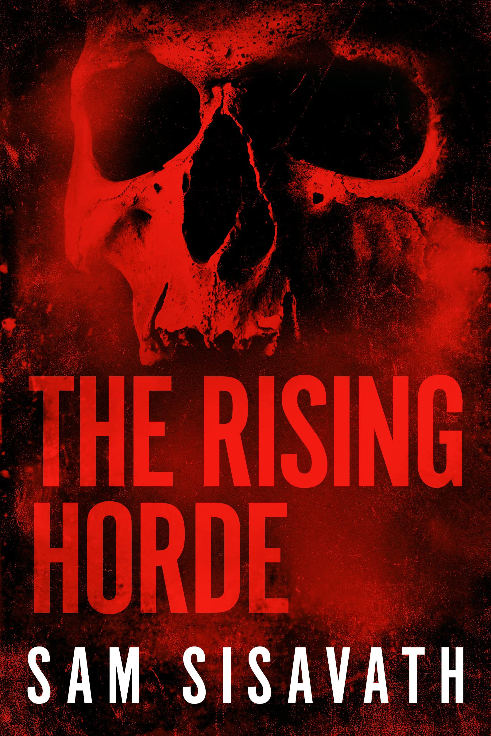 The Last Storm book cover 3