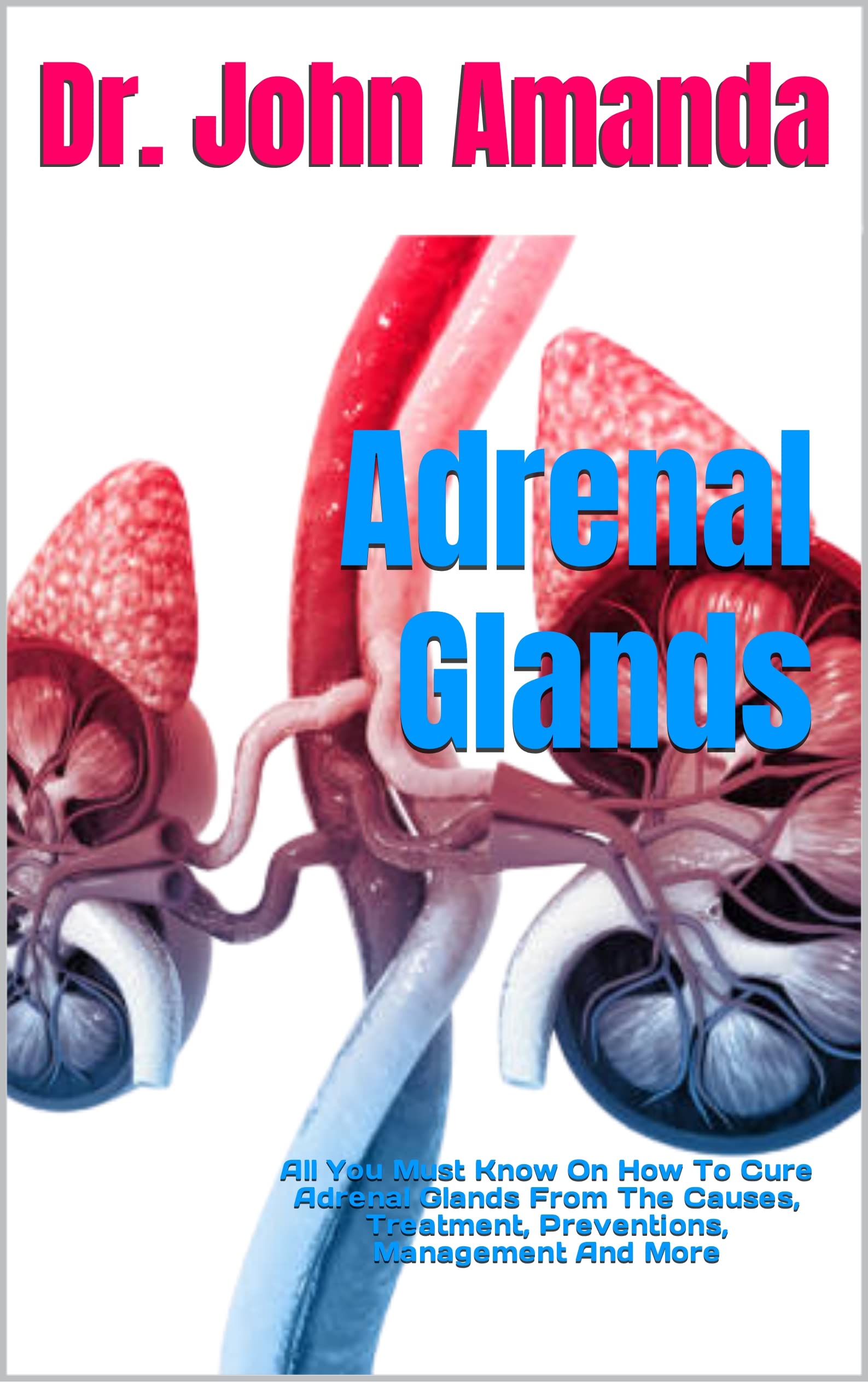 Adrenal Glands All You Must Know On How To Cure Adrenal Glands From