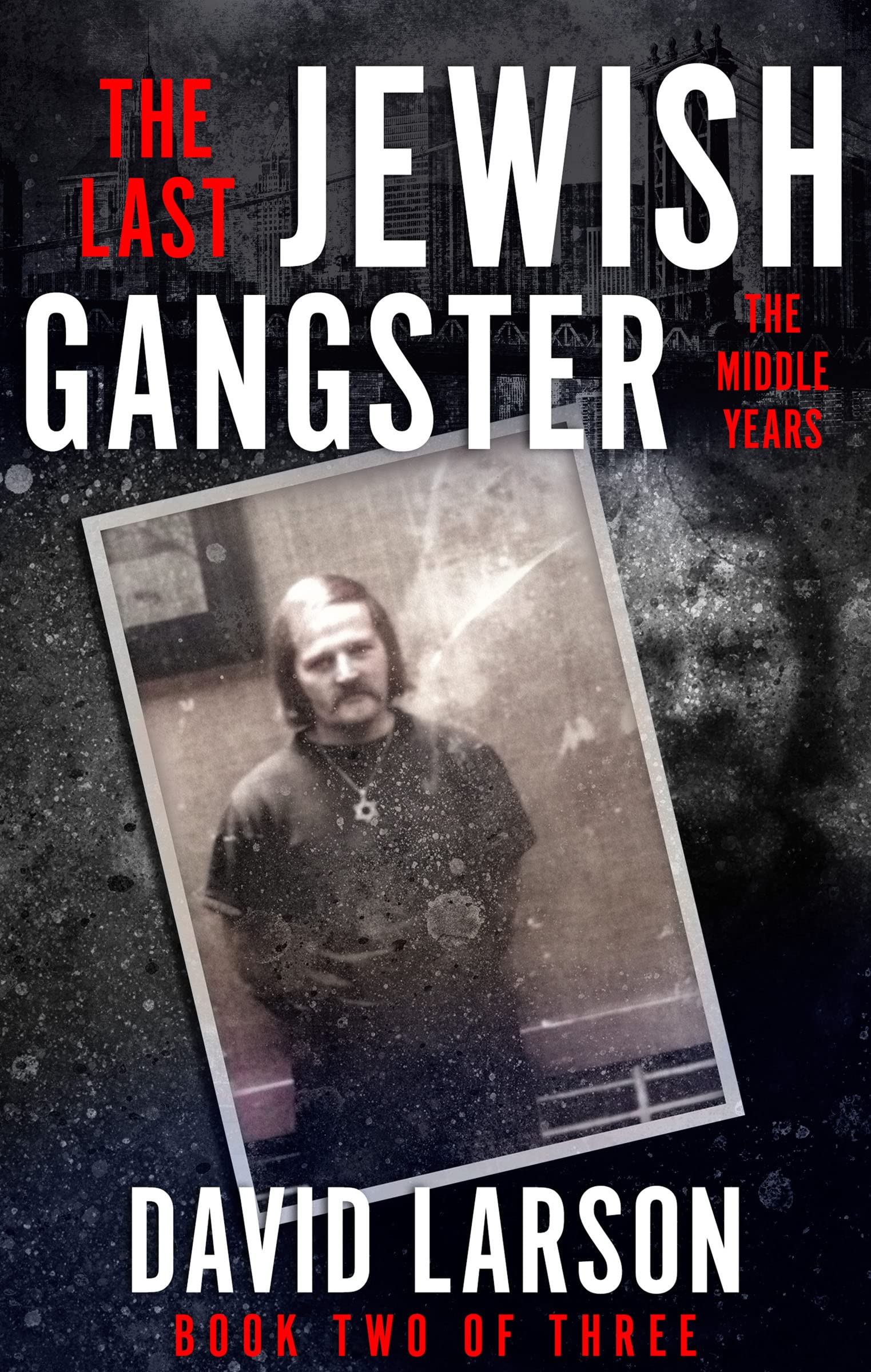 The Last Jewish Gangster The Middle Years by David Larson Goodreads