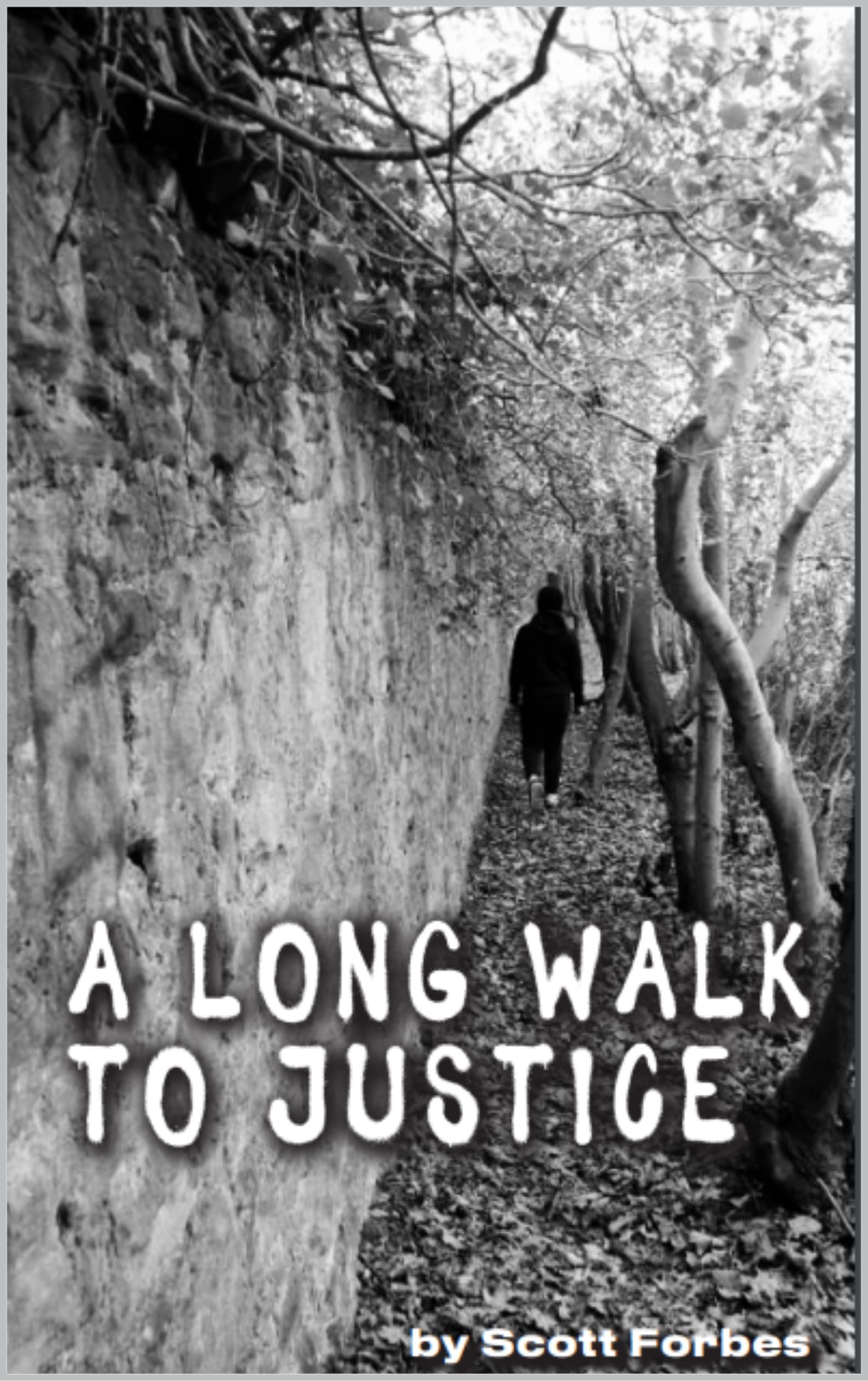 A Long Walk to Justice by Scott C Forbes Goodreads
