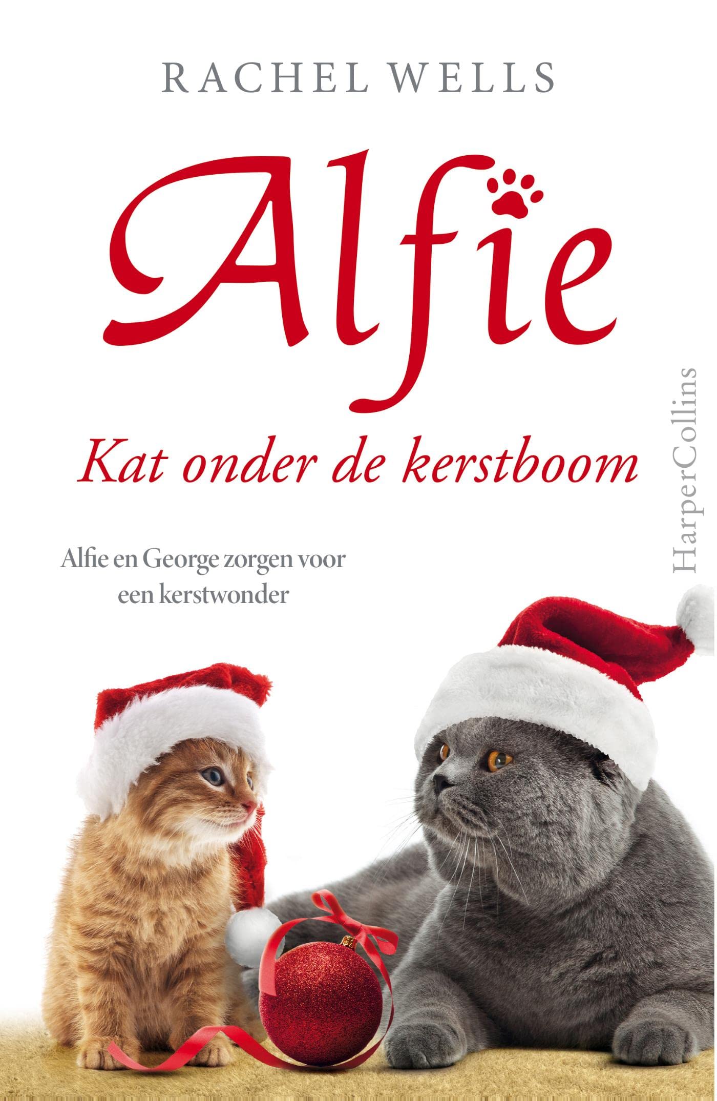 Kat onder de kerstboom (Alfie)