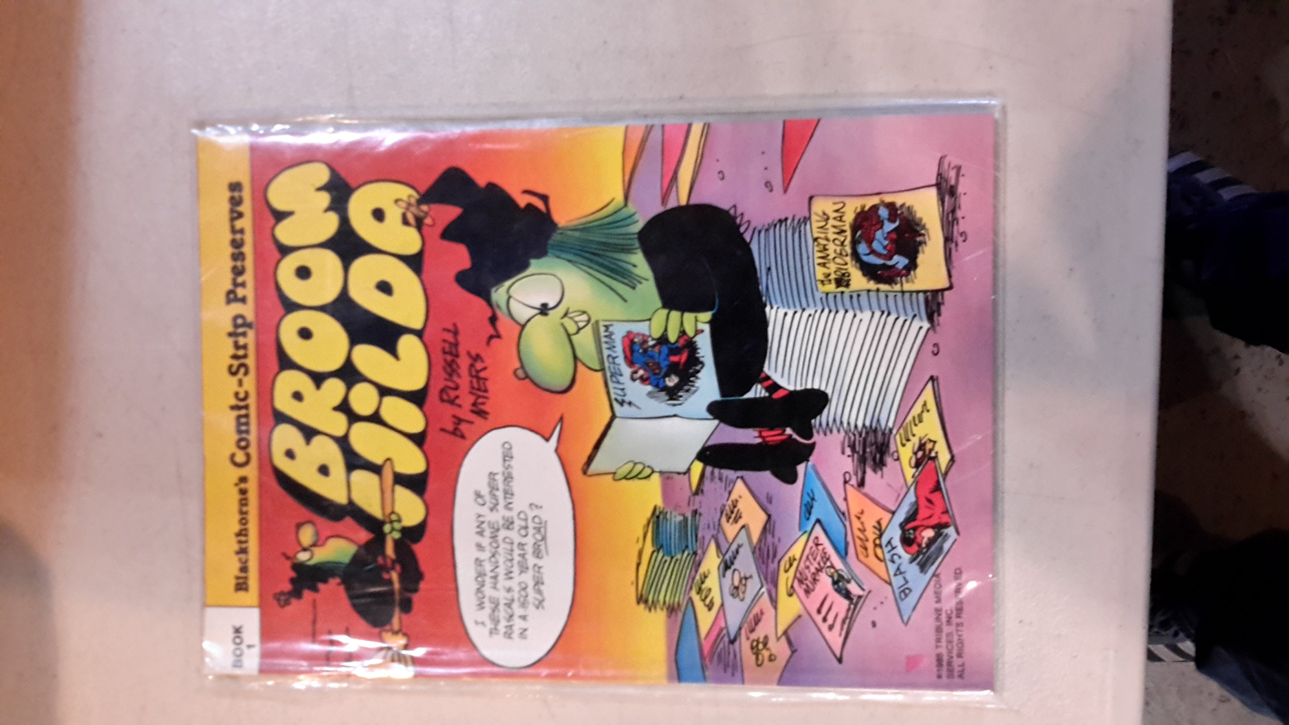 Broom Hilda by Russell Myers Goodreads