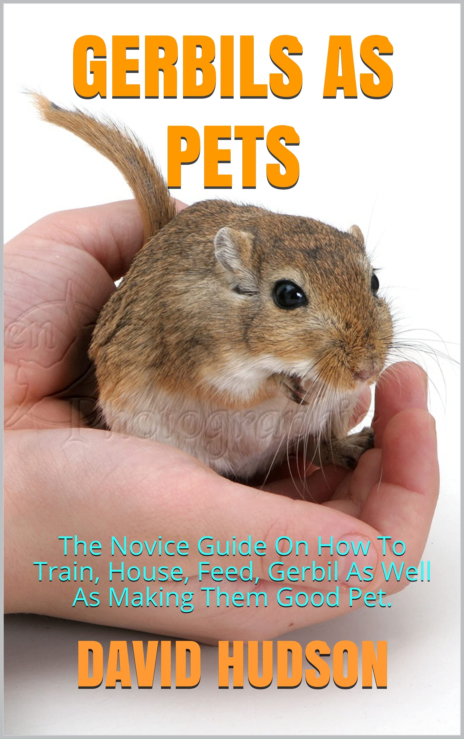 GERBILS AS PETS The Novice Guide On How To Train, House, Feed, Gerbil As Well As Making Them