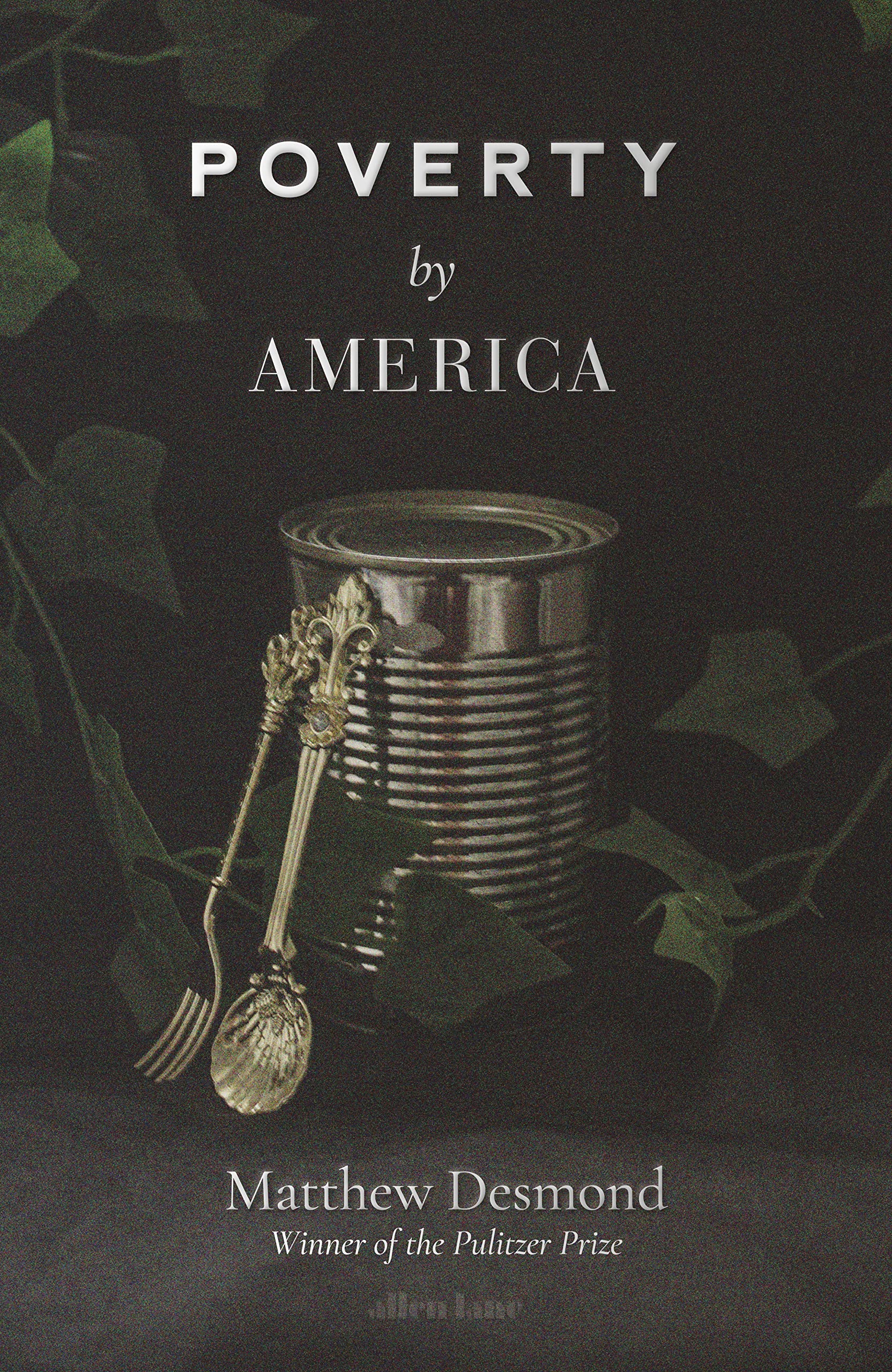 Poverty, by America