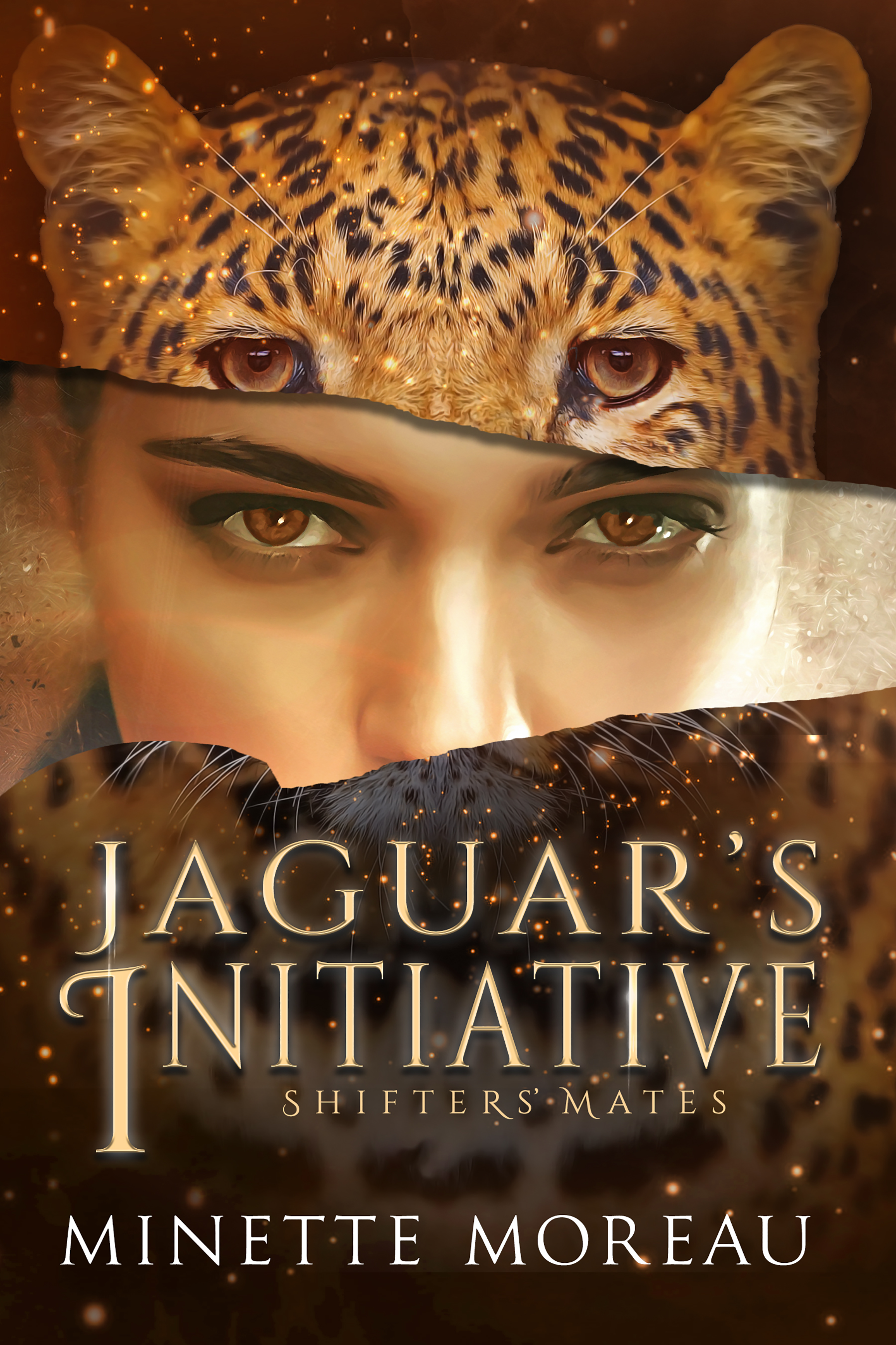 Jaguar's Initiative book cover