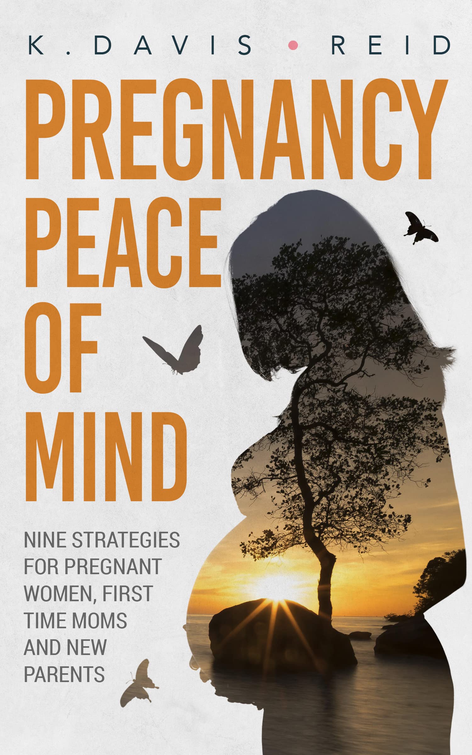 Pregnancy Peace of Mind: Nine Strategies for Pregnant Women, First Time ...