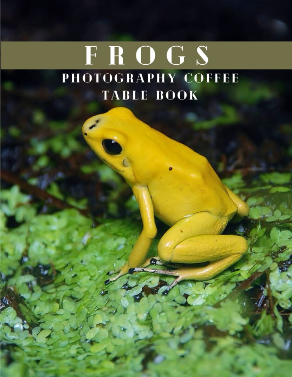 FROGS PHOTOGRAPHY COFFEE TABLE BOOK A Book That Contains Beautiful