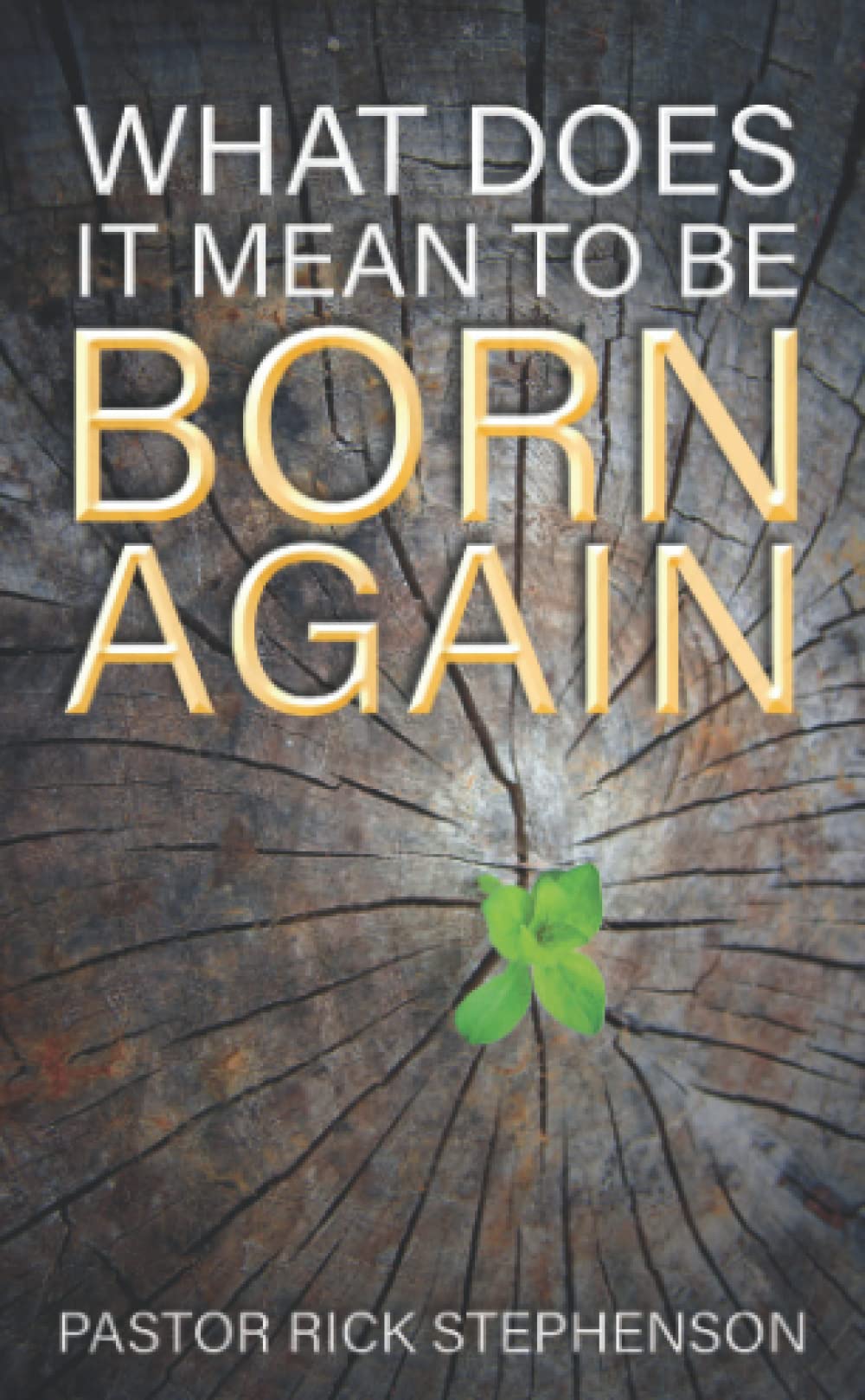 What Does It Mean to Be Born Again by Rick Stephenson Goodreads