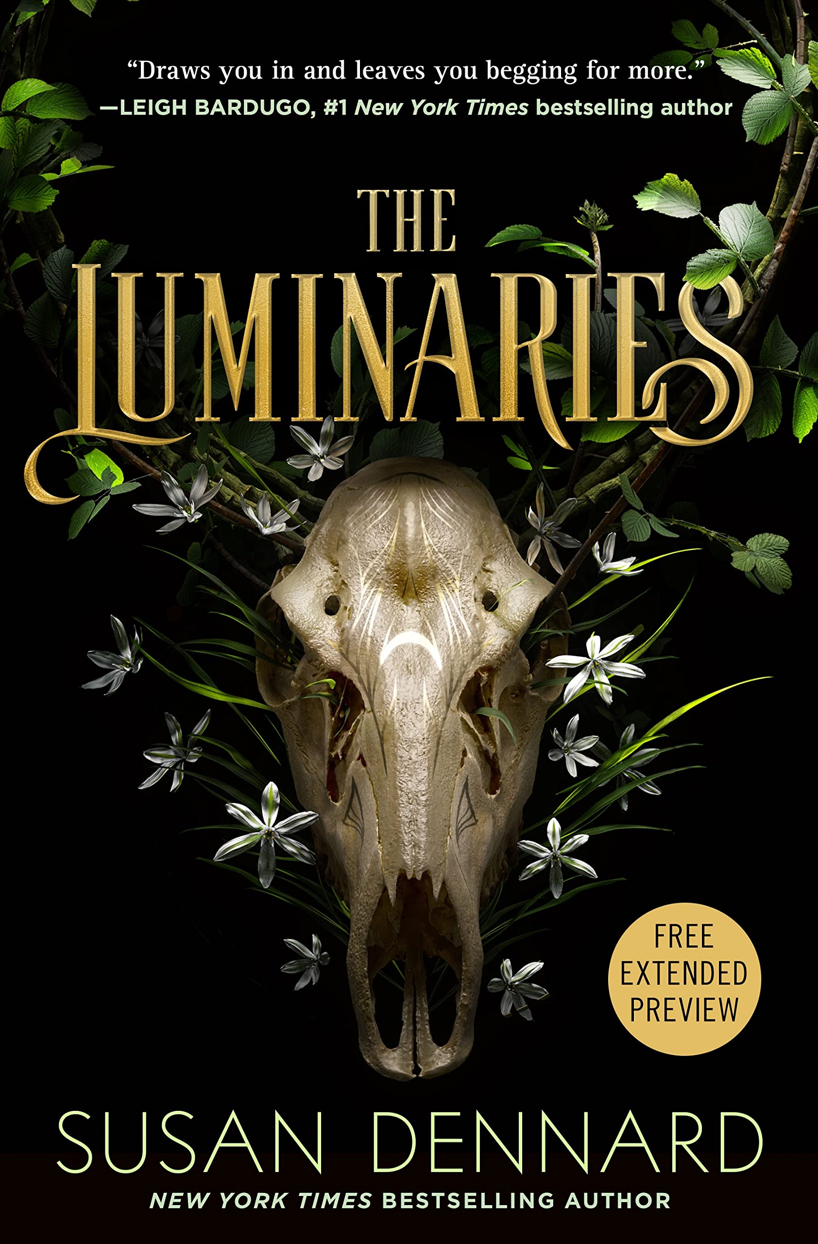The Luminaries Sneak Peek book cover