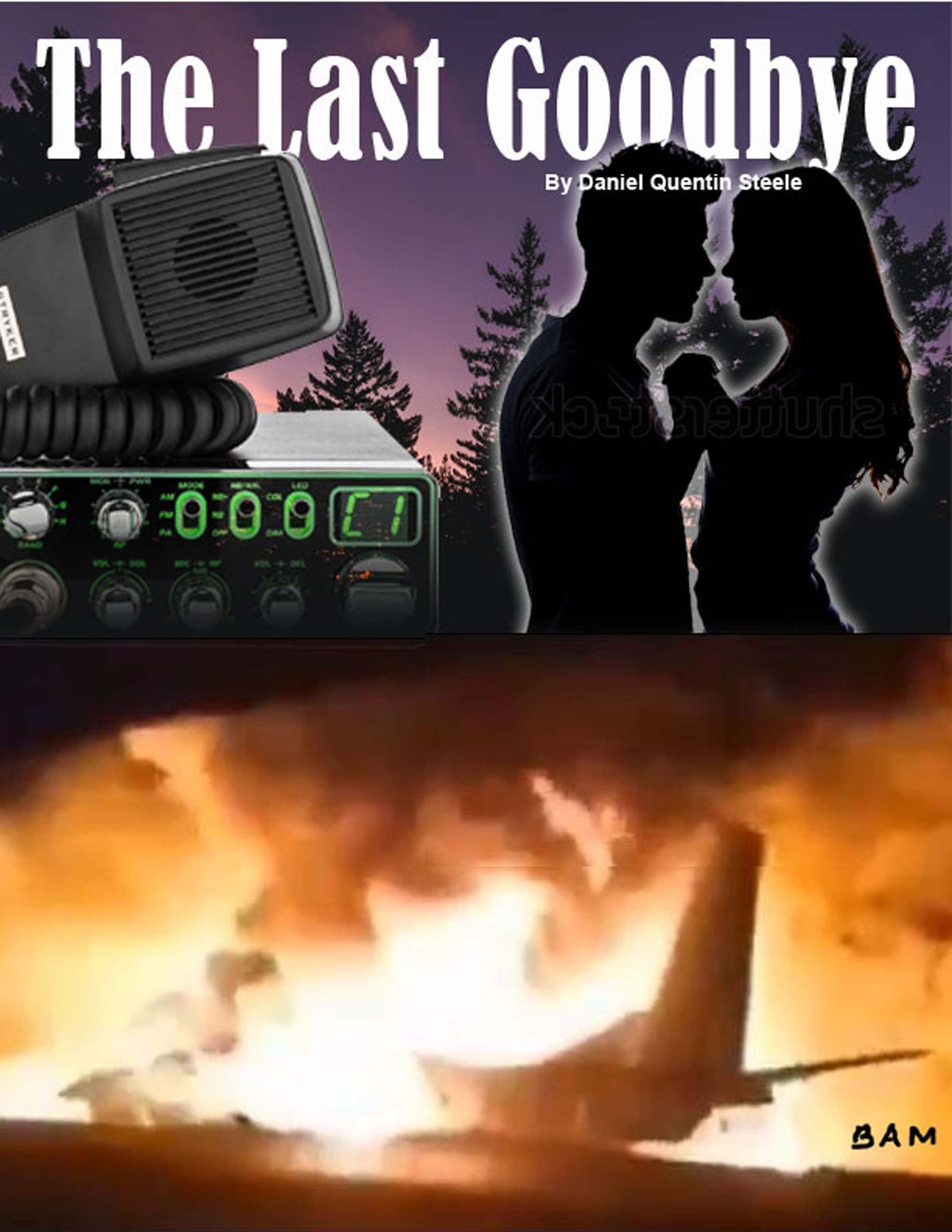 The Last Goodbye