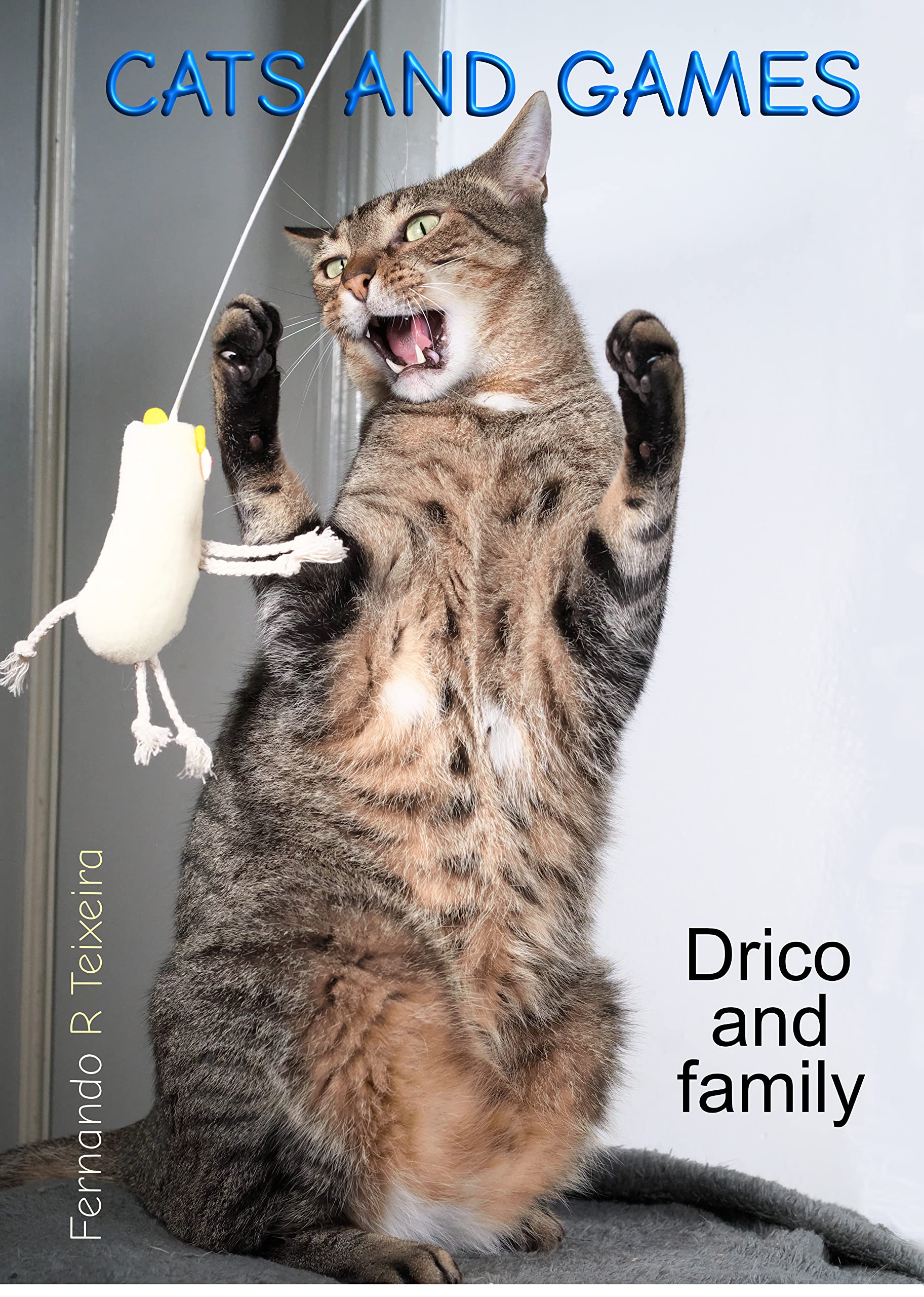 Cats and games: Drico and family